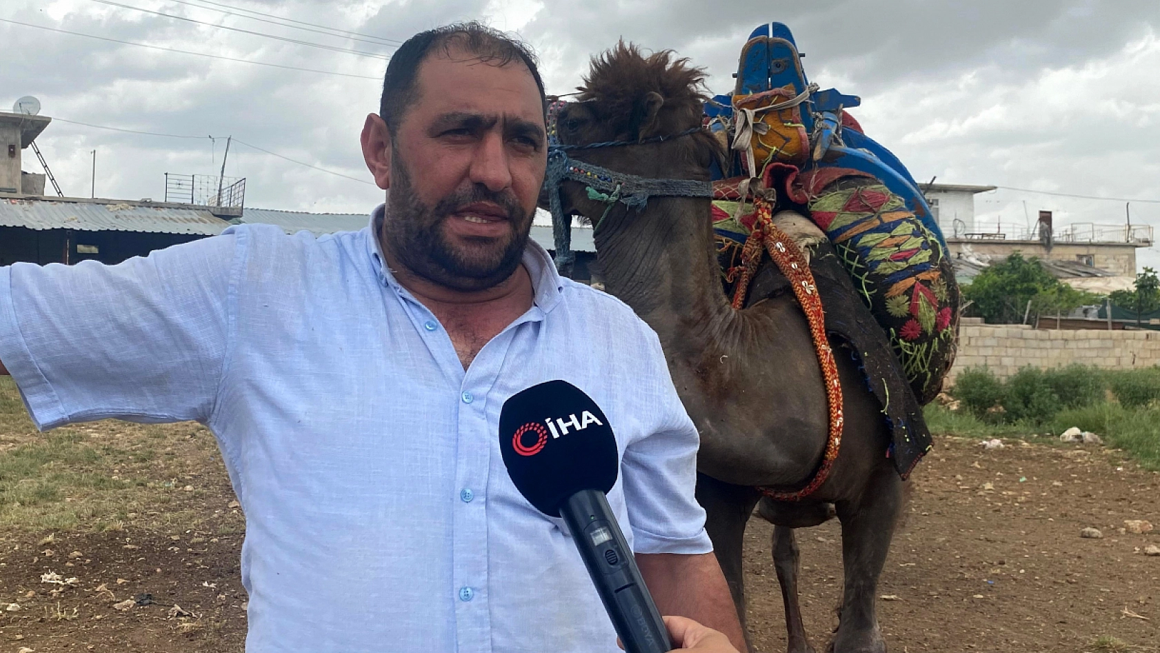 O İlçede Kurbanlık Develer Peynir Ekmek Gibi Satıldı