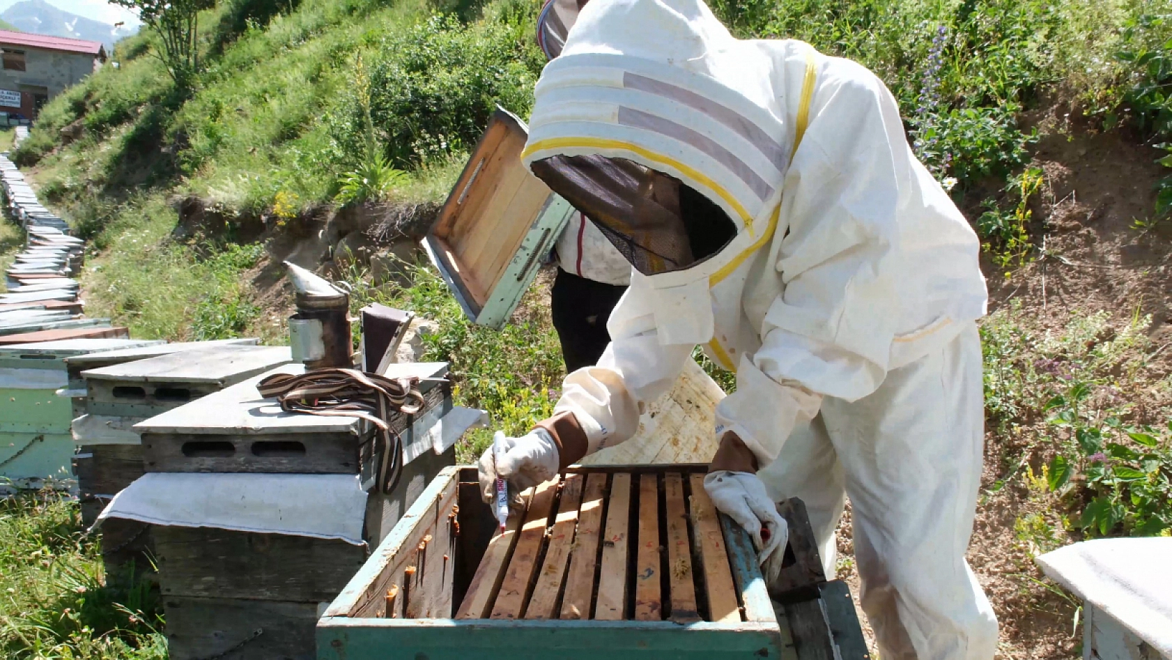 Kilogram Fiyatı Altınla Yarışıyor!