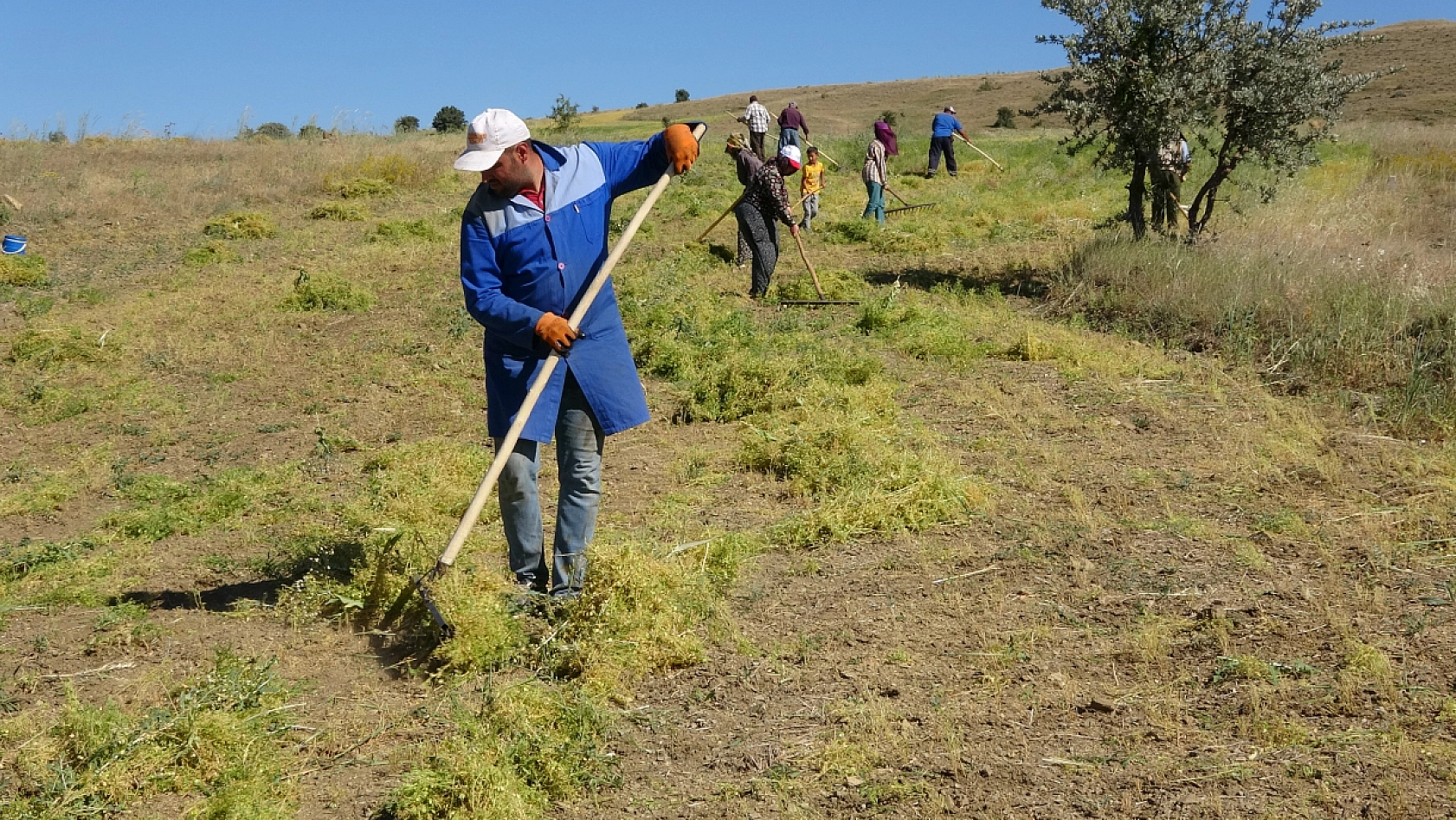 Aylıkları 45 Bin Liraya Geliyor, Ancak Sayıları Her Geçen Yıl Azalıyor