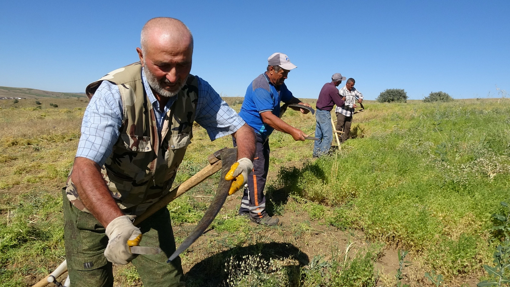 Aylıkları 45 Bin Liraya Geliyor, Ancak Sayıları Her Geçen Yıl Azalıyor