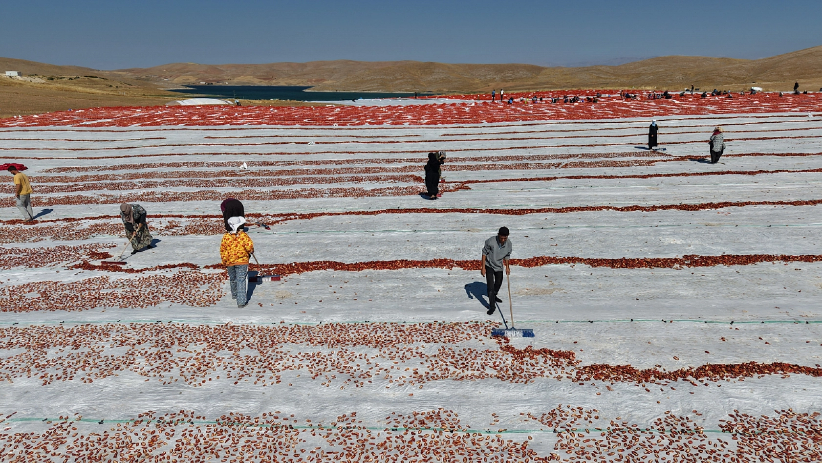 Elazığ'dan dünyaya uzanan ihracat