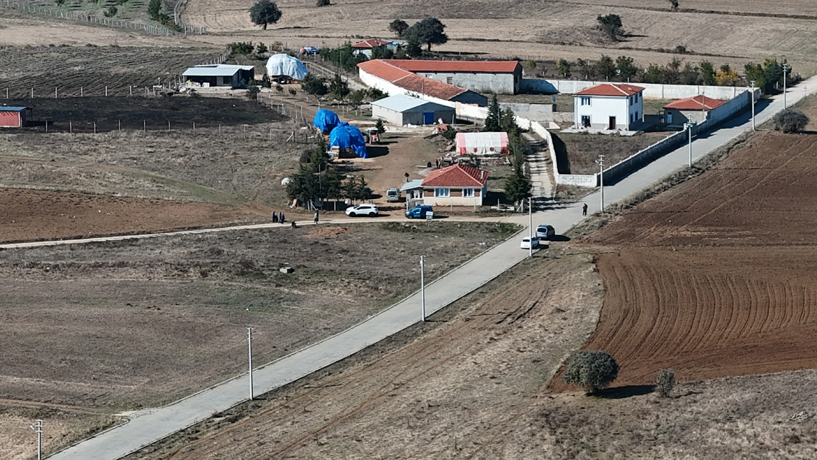Hayatını adadığı yeğeni katili oldu