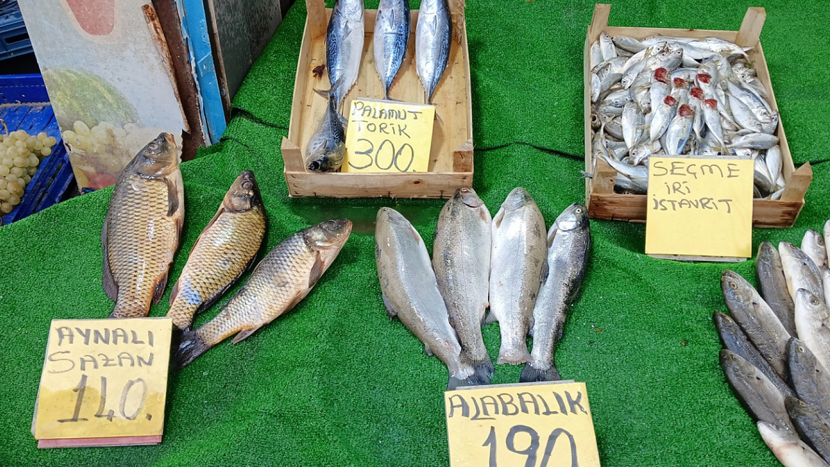 Elazığ'da taze balıklar tezgahlarda yerini aldı