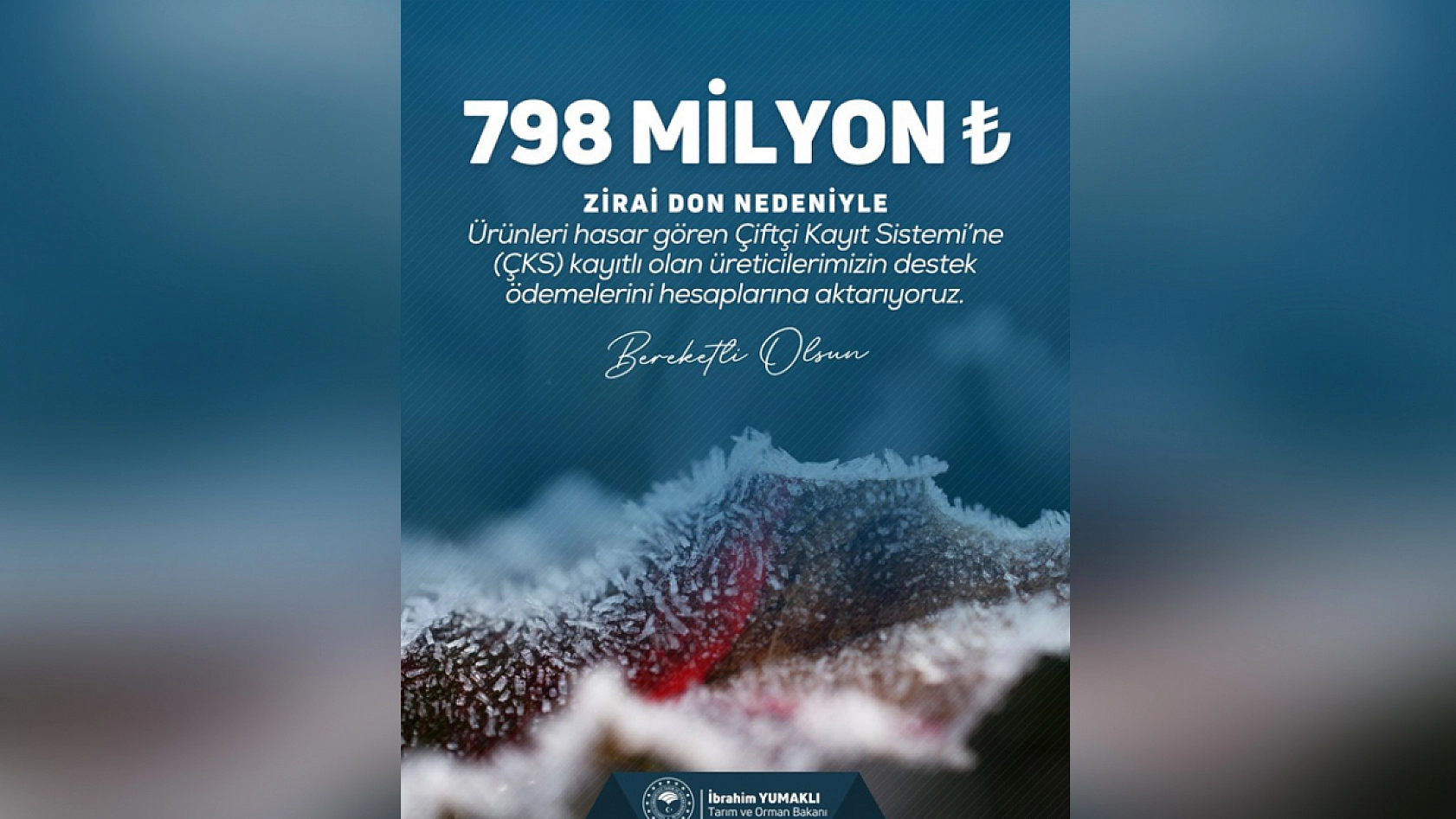 Zirai don mağduru çiftçilere dev destek: 798 milyon TL ödendi