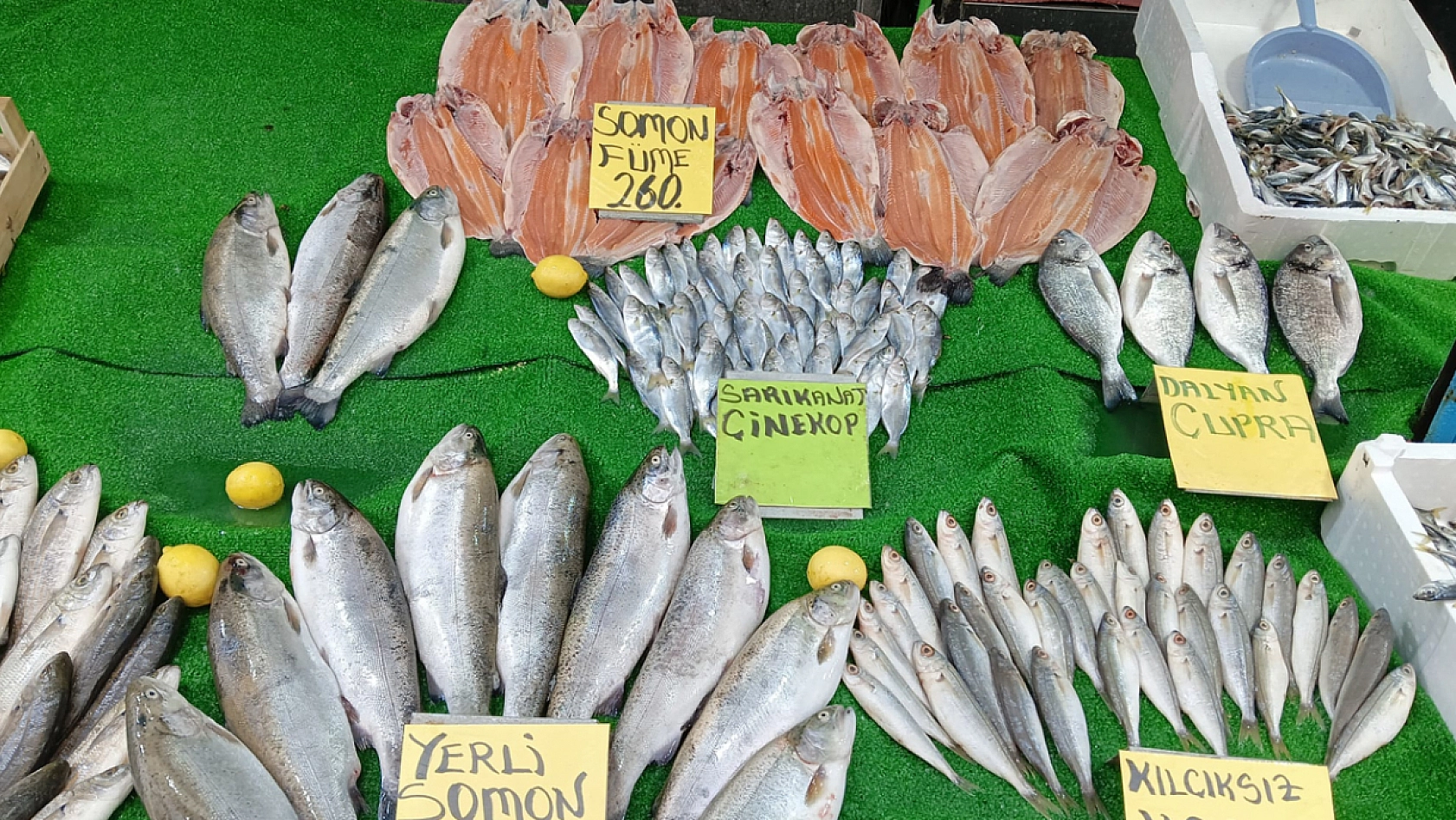 Elazığ'da taze balıklar tezgahlarda yerini aldı