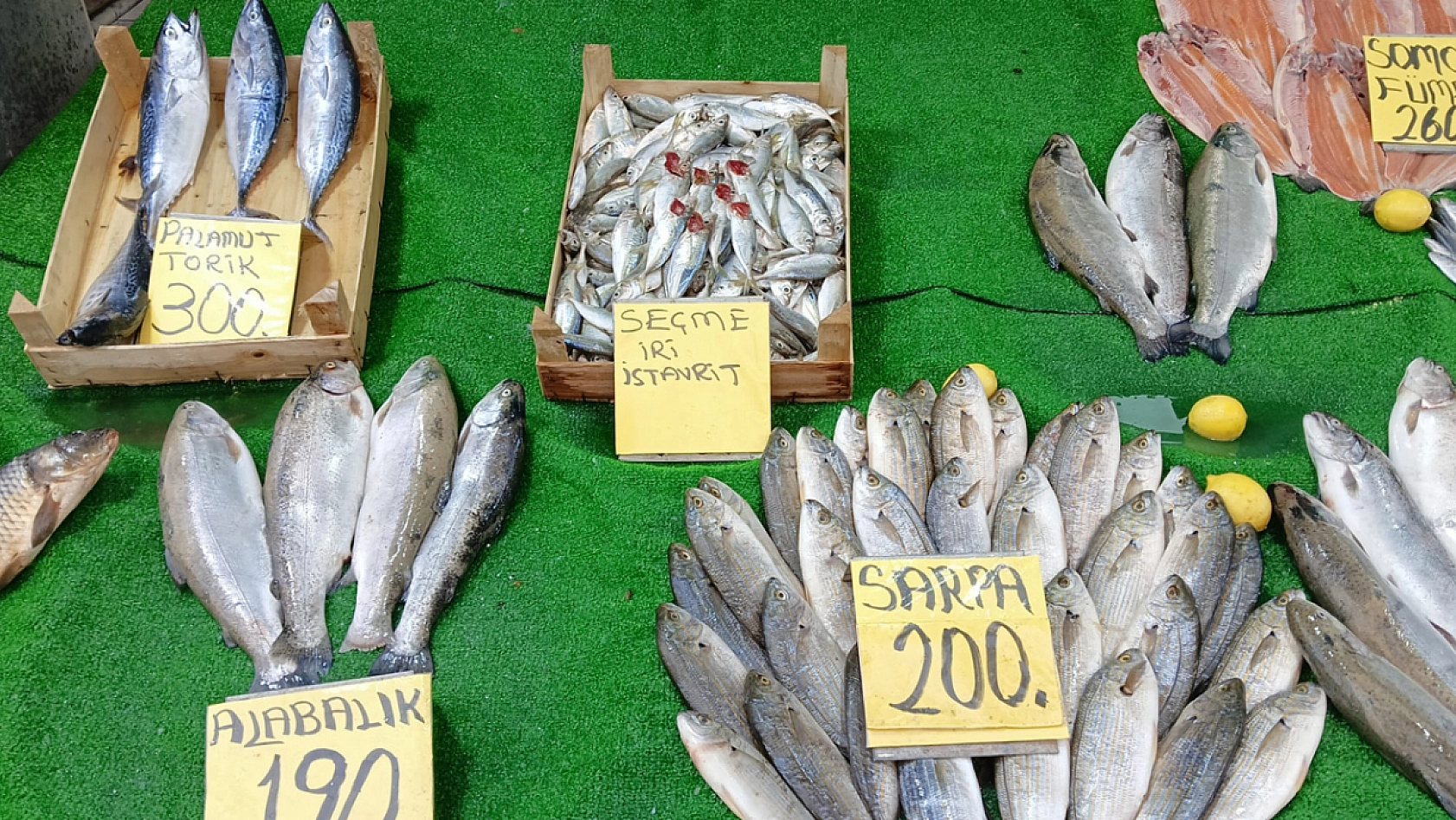 Elazığ'da taze balıklar tezgahlarda yerini aldı