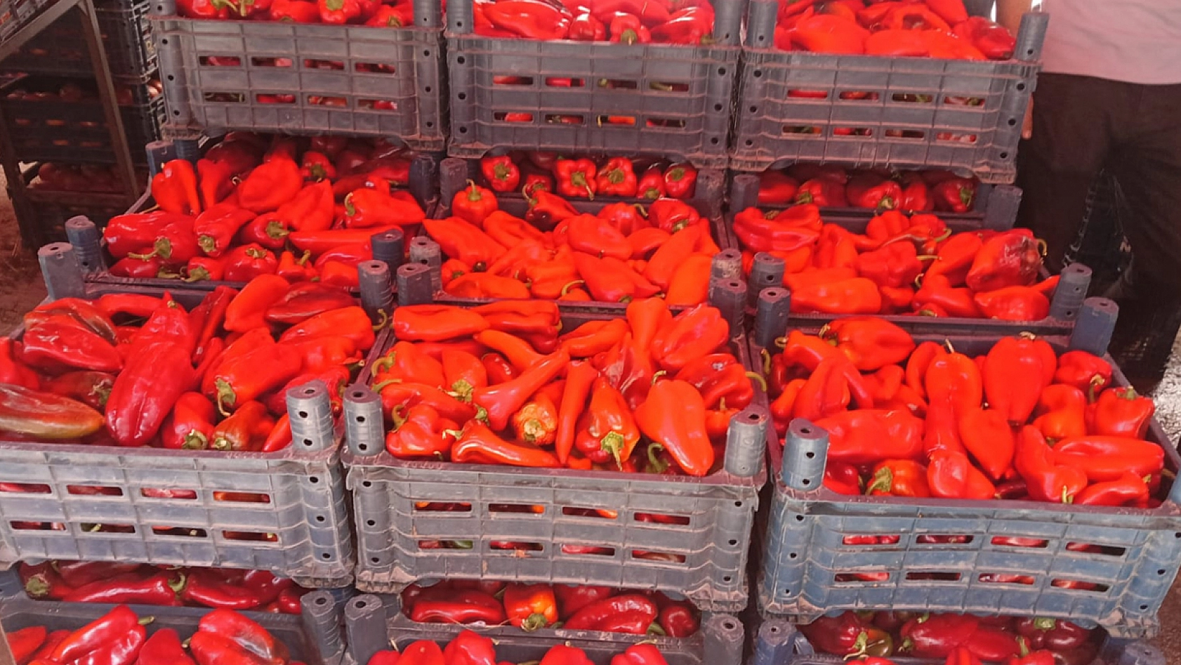 Elazığ'da kış hazırlıkları sürüyor