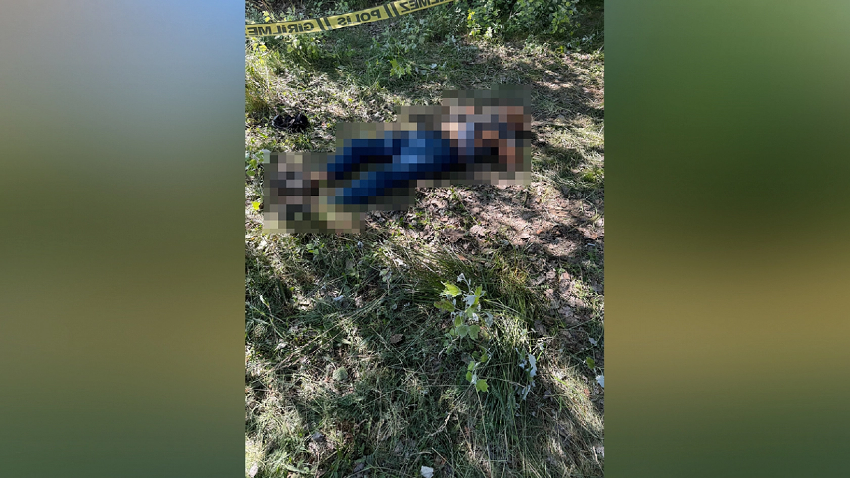 Bir kişi ağaçlık alanda ölü bulundu