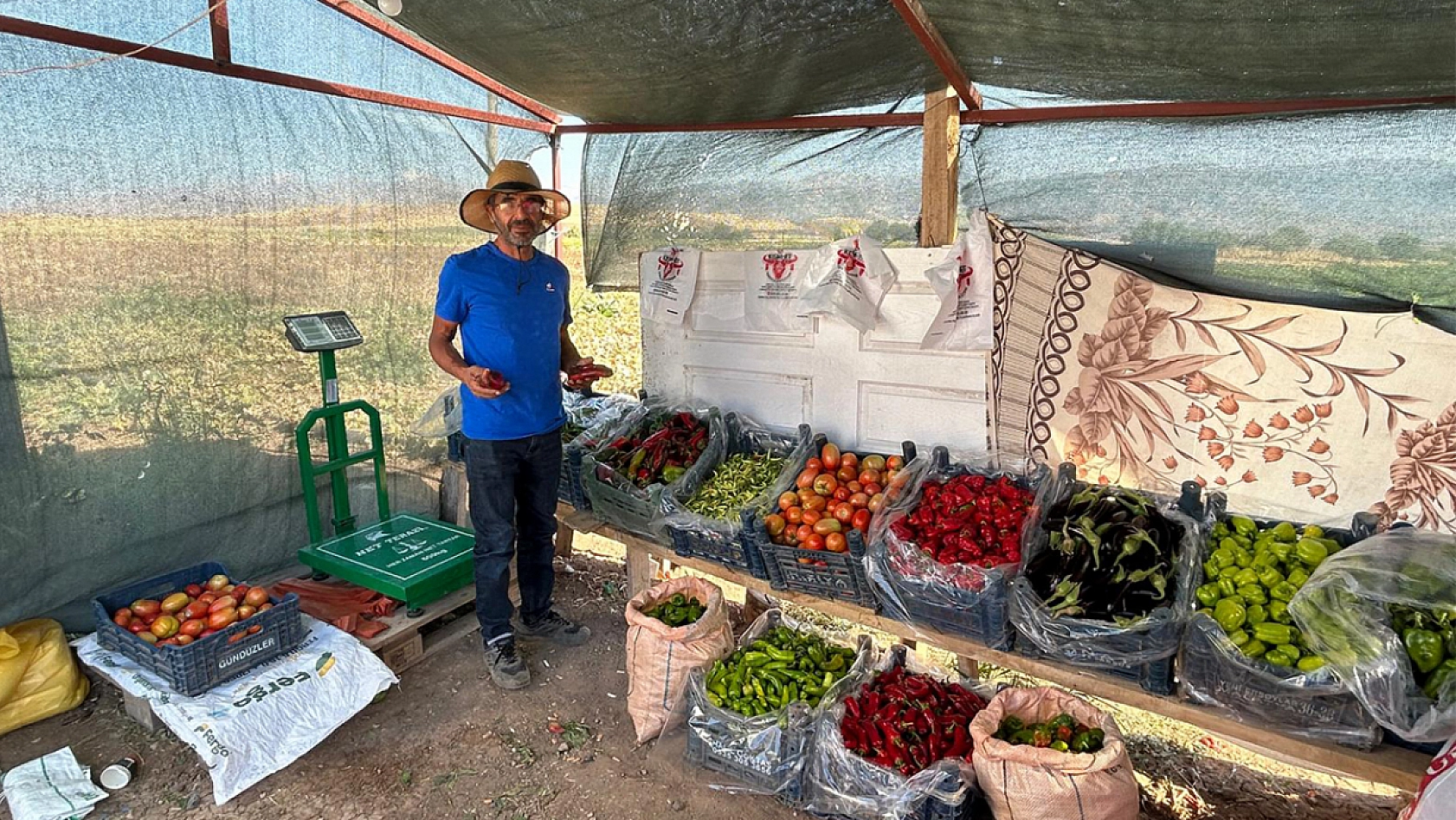 Elazığ'da tarladan sofraya uygun fiyatlı sebze