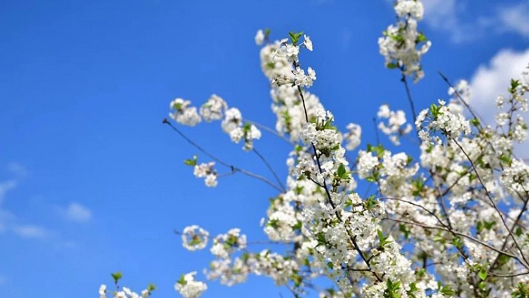 İlk cemre ne zaman düşecek? 2026 cemre tarihleri...