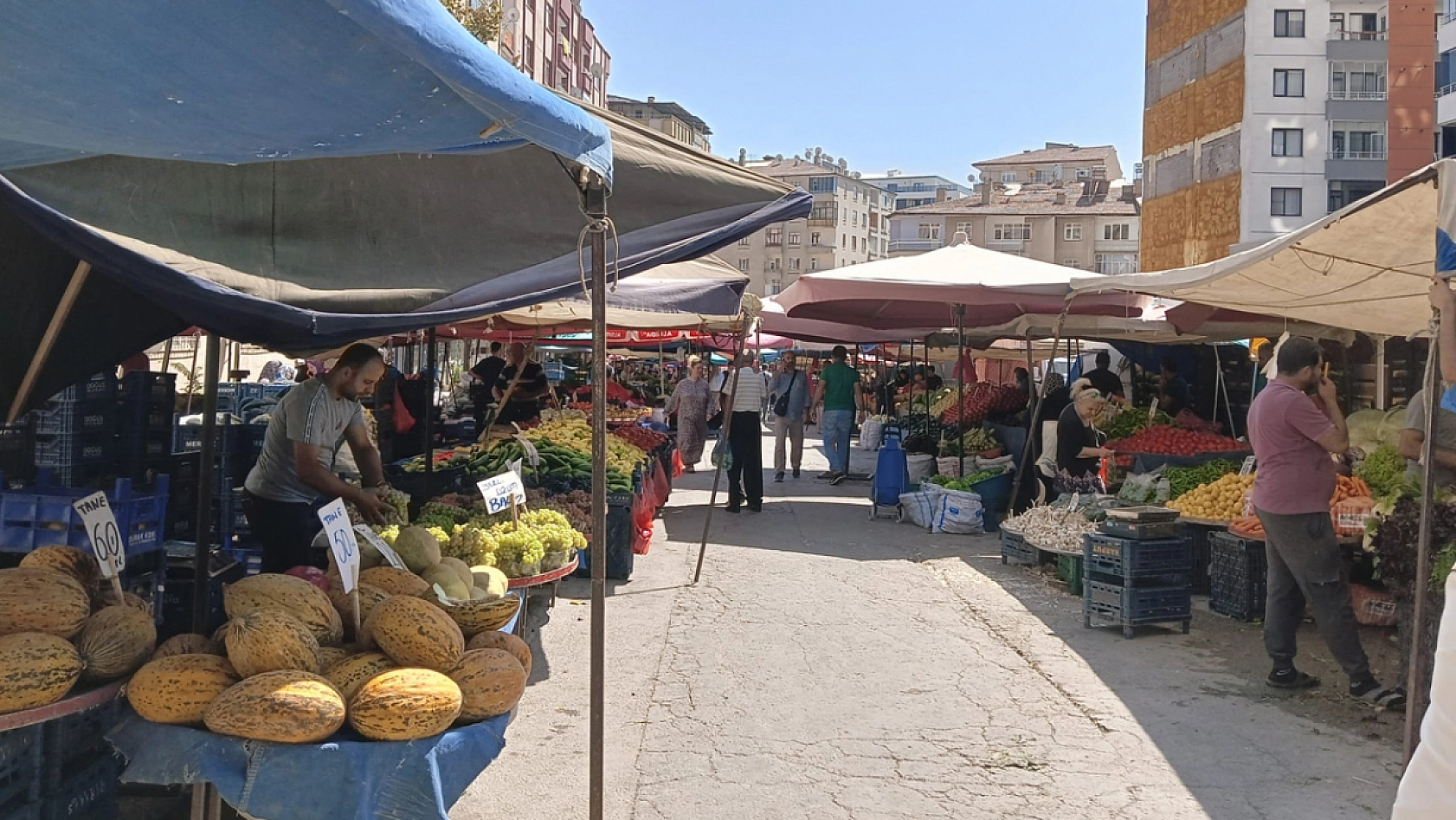 Elazığ'da kasa kasa alınıyor! Fiyatını duyan kaçırmıyor