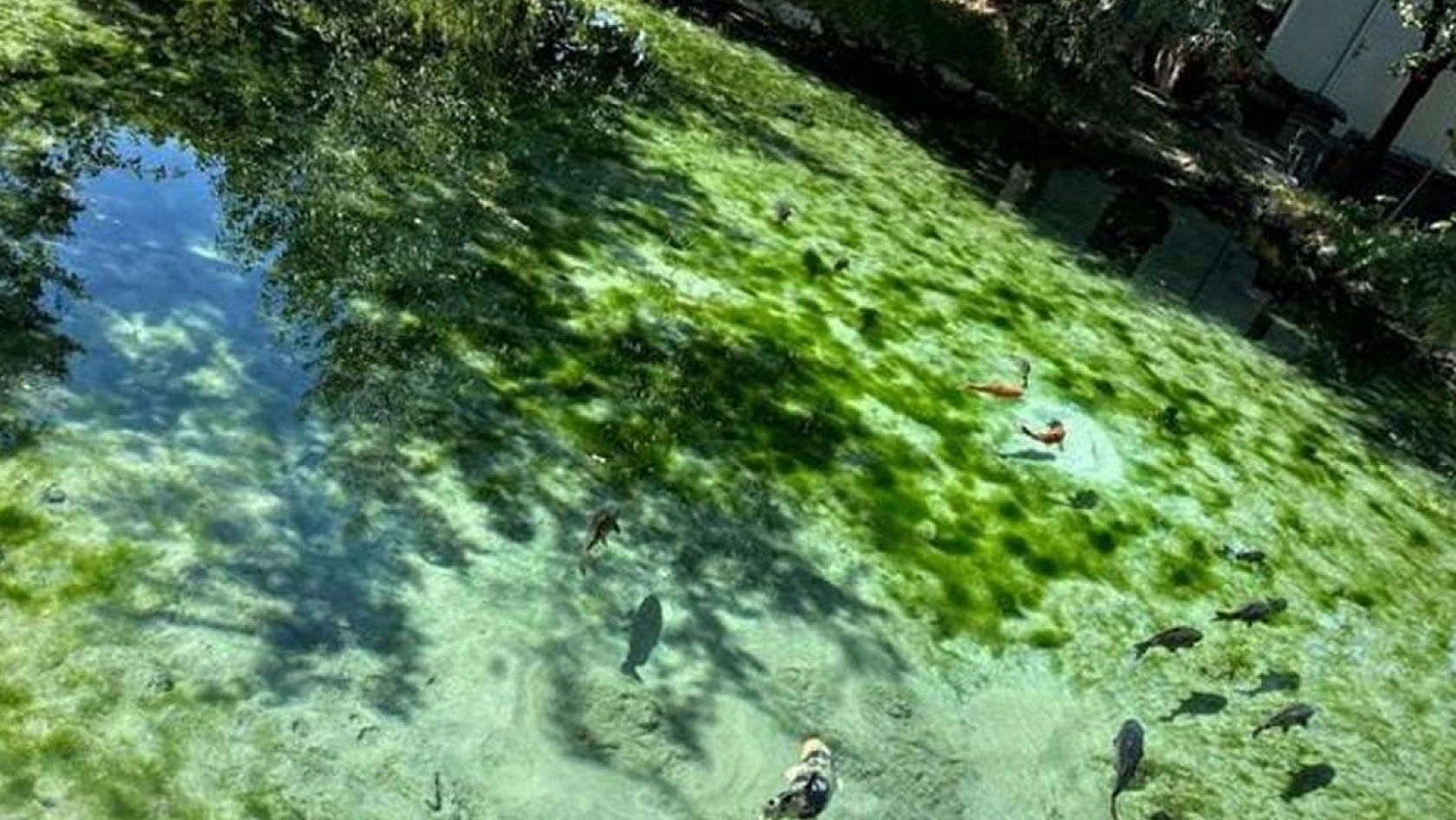 Elazığ'da saklı bir cennet: Gizemli efsanesiyle merak uyandırıyor