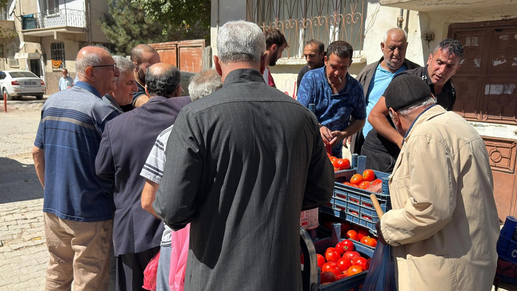 Elazığ'da kilosu 15 liradan satıldı poşet poşet alındı