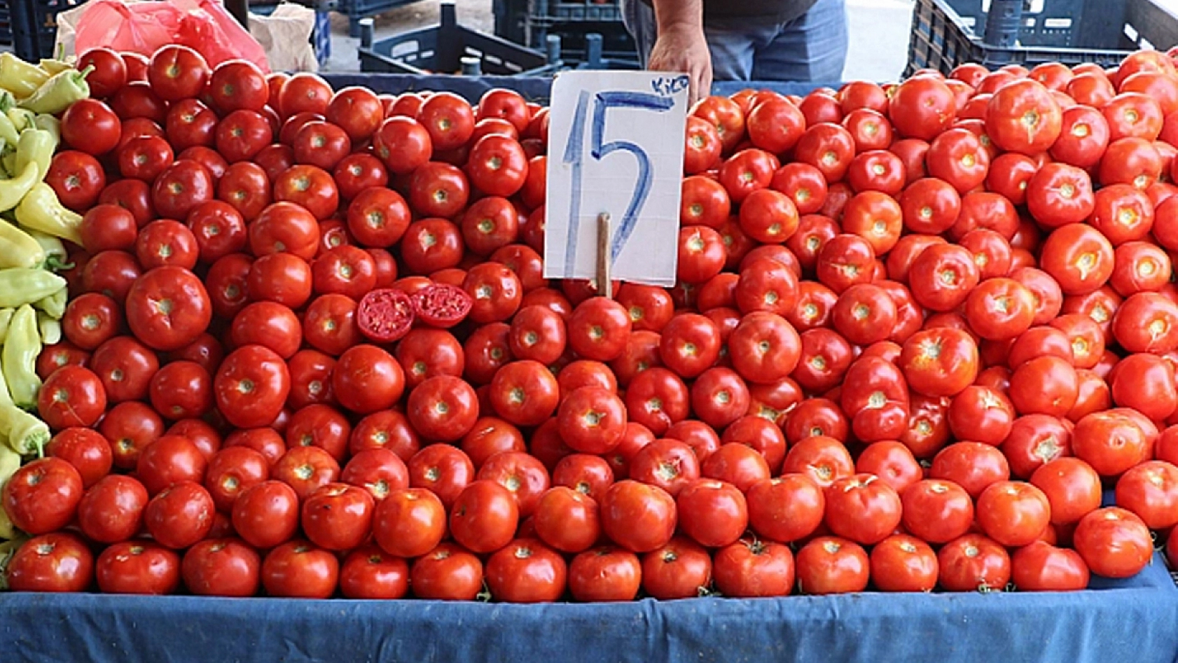 Elazığ'da kasa kasa alınıyor! Fiyatını duyan kaçırmıyor