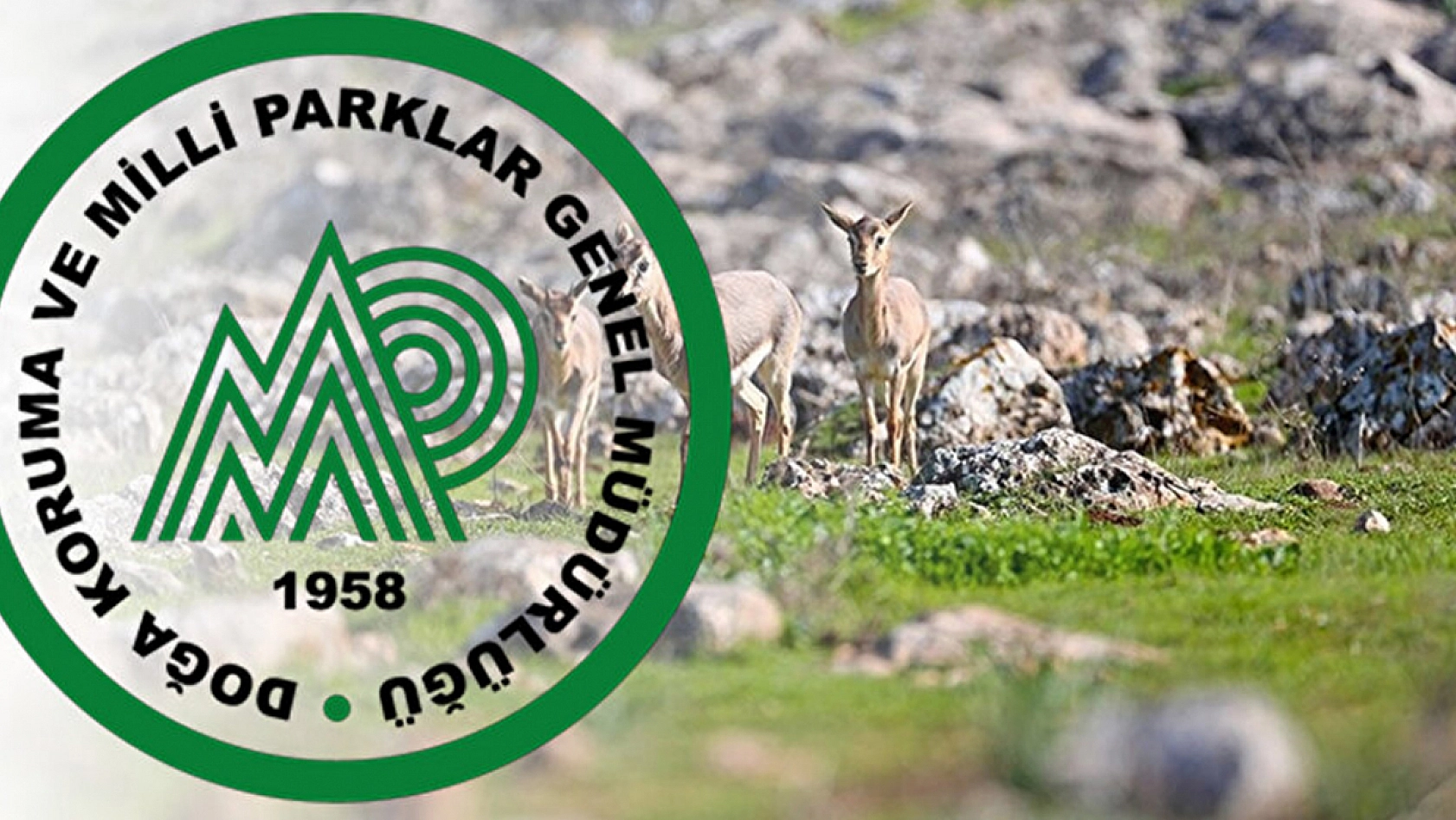 Bakanlık müjdeyi duyurdu: 240 personel alınacak