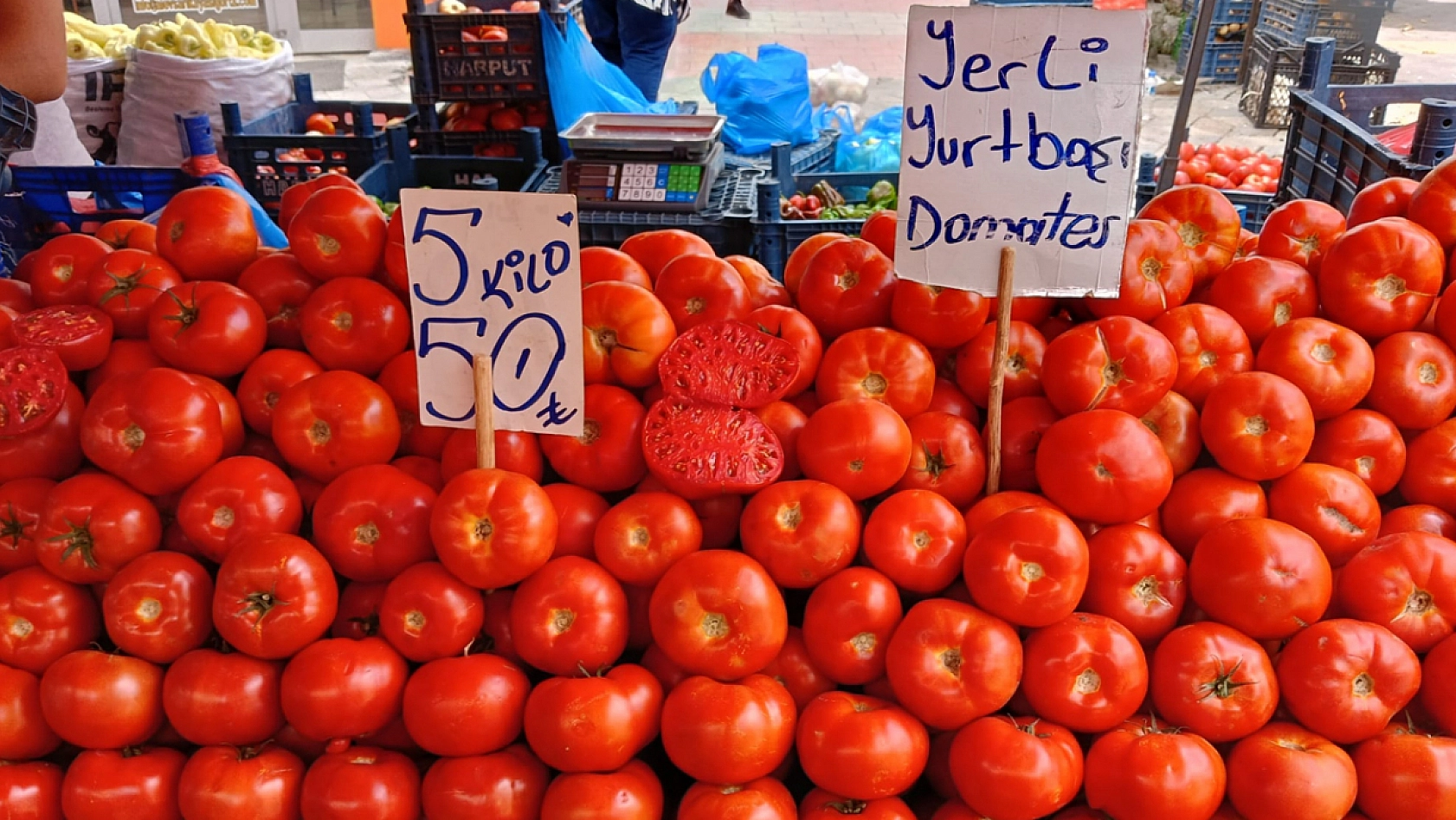 Elazığ'da kasa kasa alınıyor! Fiyatını duyan kaçırmıyor