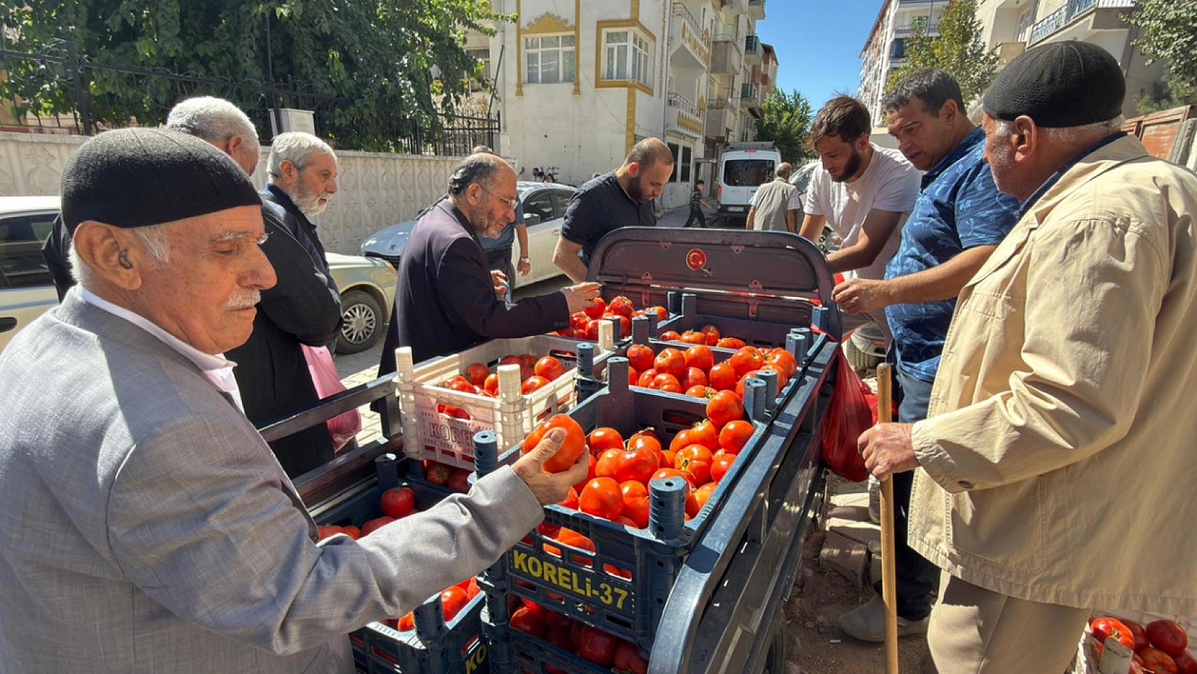 Elazığ'da kilosu 15 liradan satıldı poşet poşet alındı