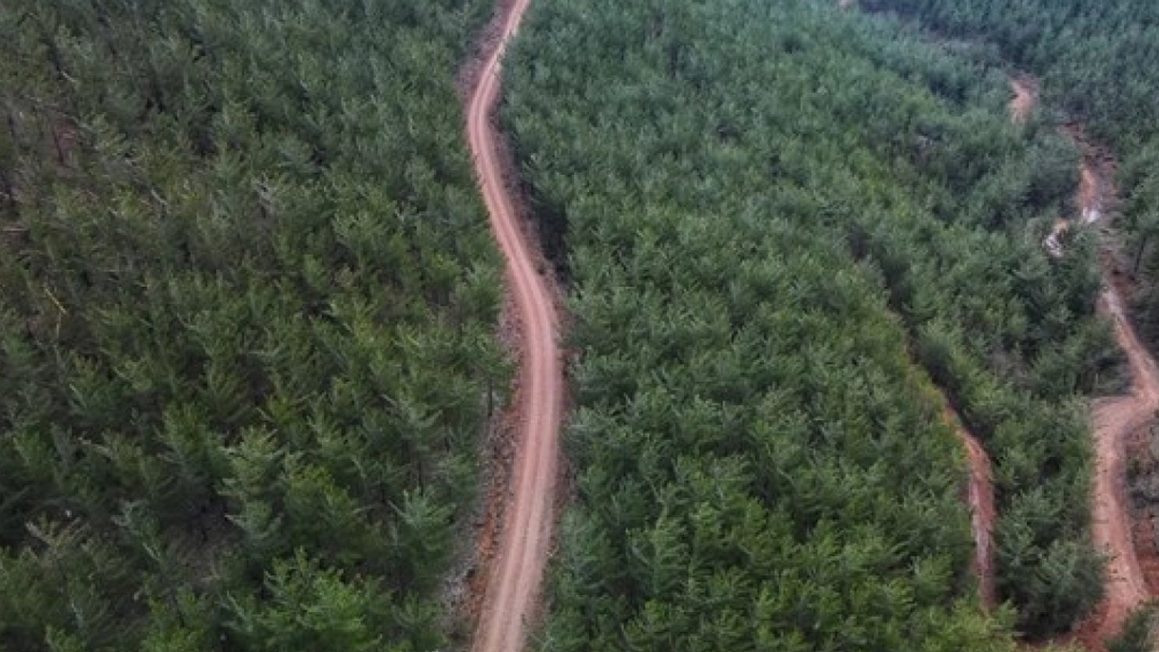 Bakanlık müjdeyi duyurdu: 240 personel alınacak