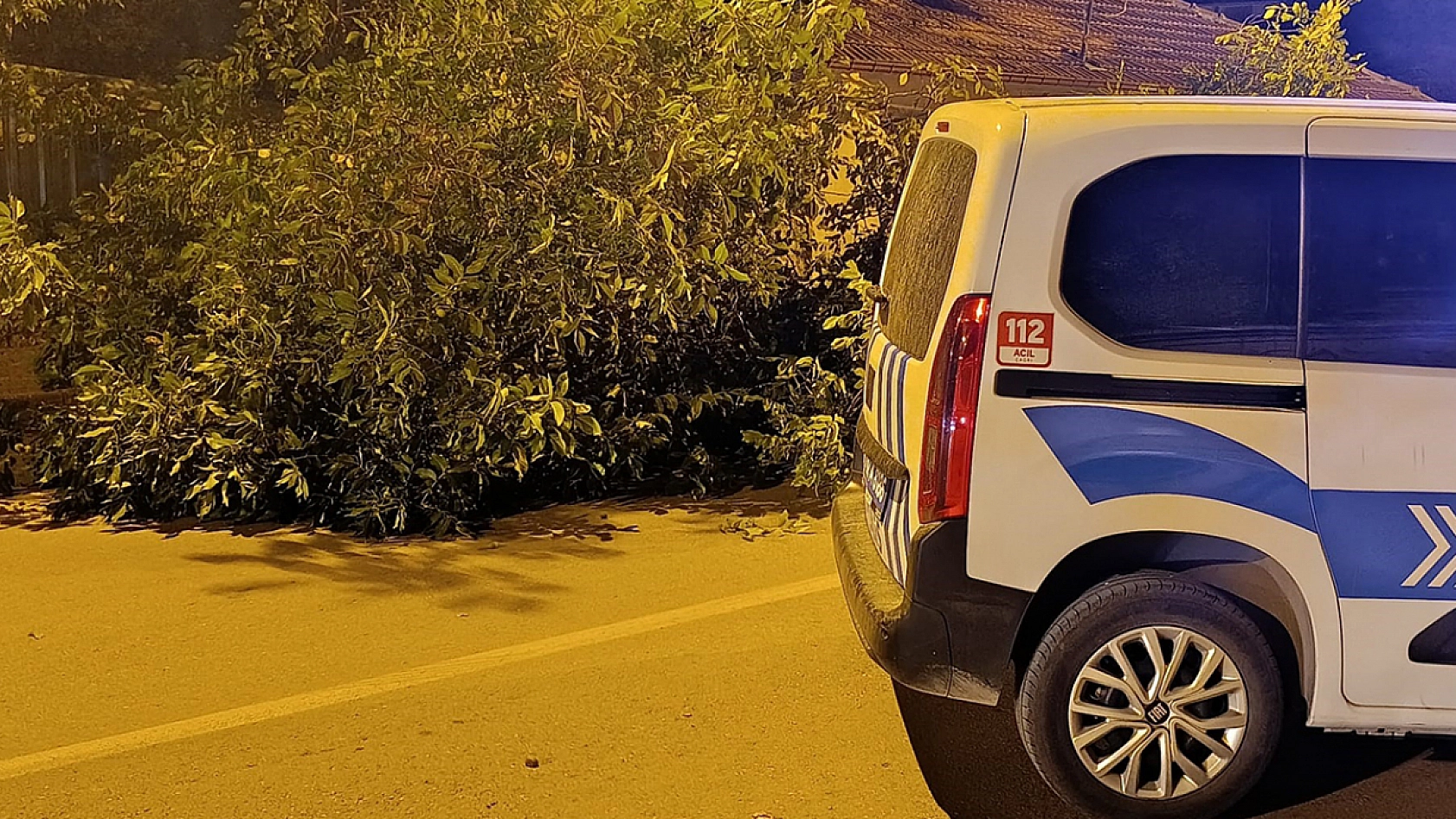 Facianın eşiğinden dönüldü! Ağacın dalları otomobilin üzerine devrildi