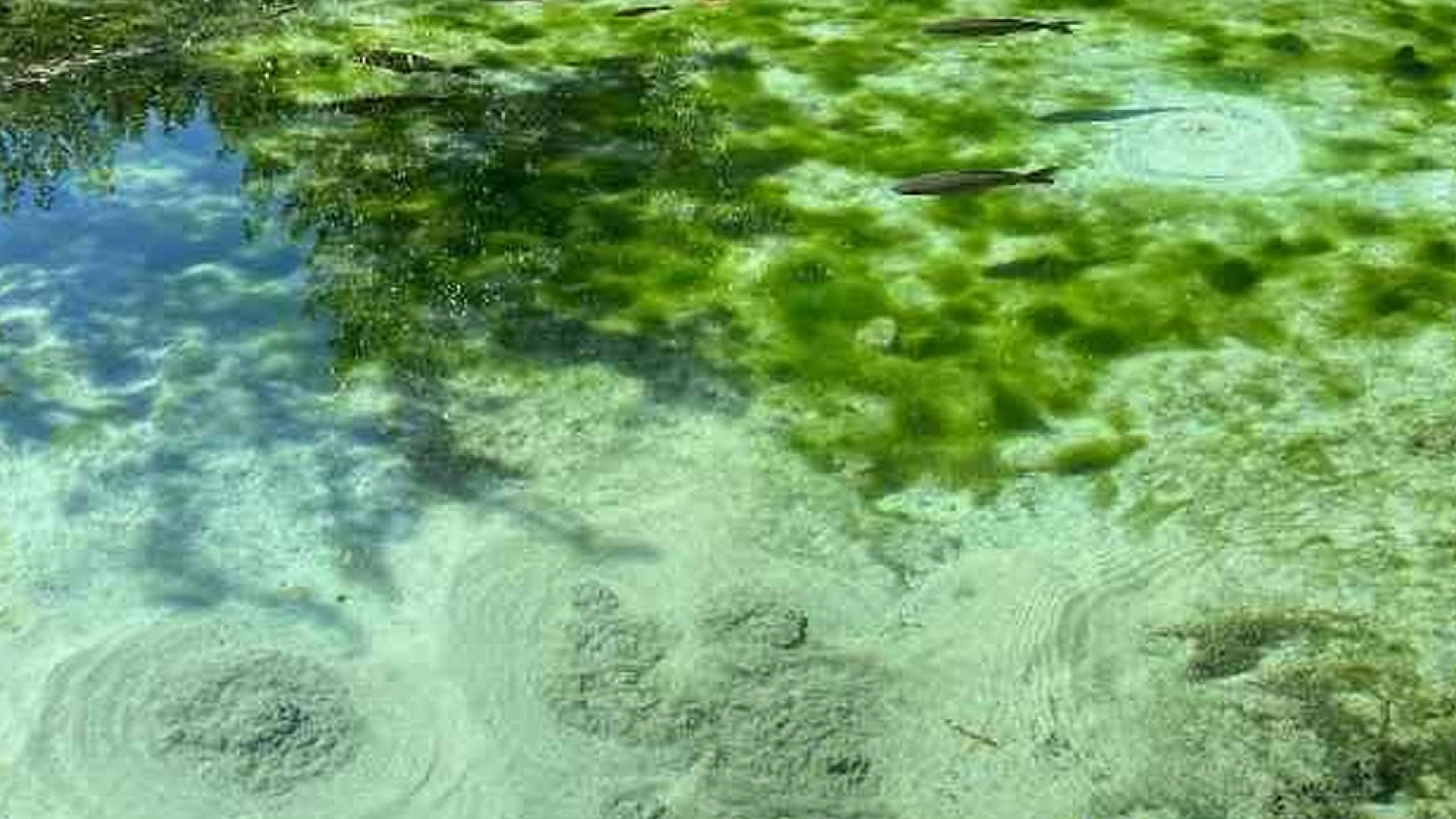 Elazığ'da saklı bir cennet: Gizemli efsanesiyle merak uyandırıyor