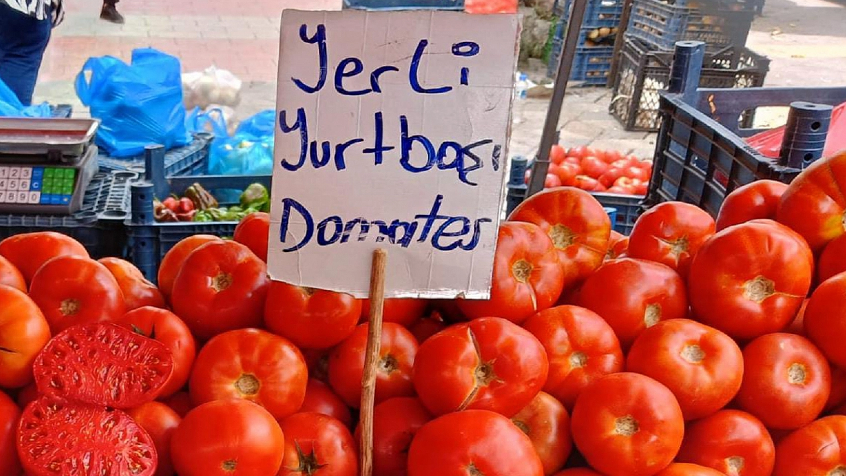 Elazığ'da kasa kasa alınıyor! Fiyatını duyan kaçırmıyor