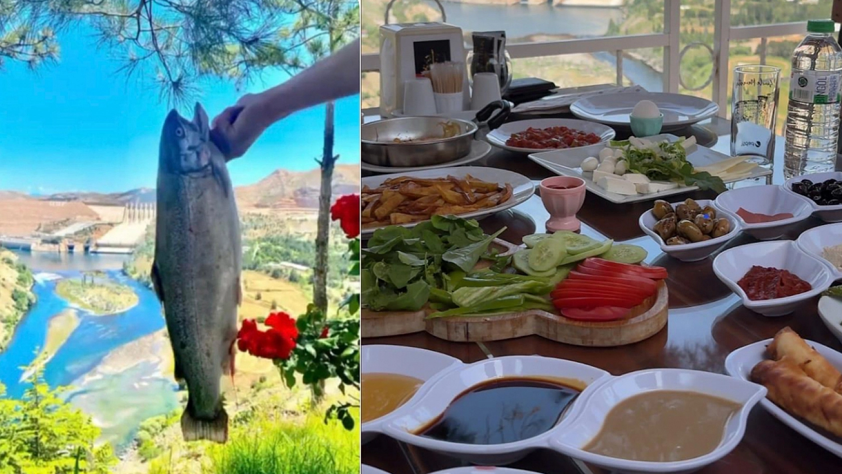 Elazığ'da sizi büyüleyecek bir mekan 'Seyrül Keban'