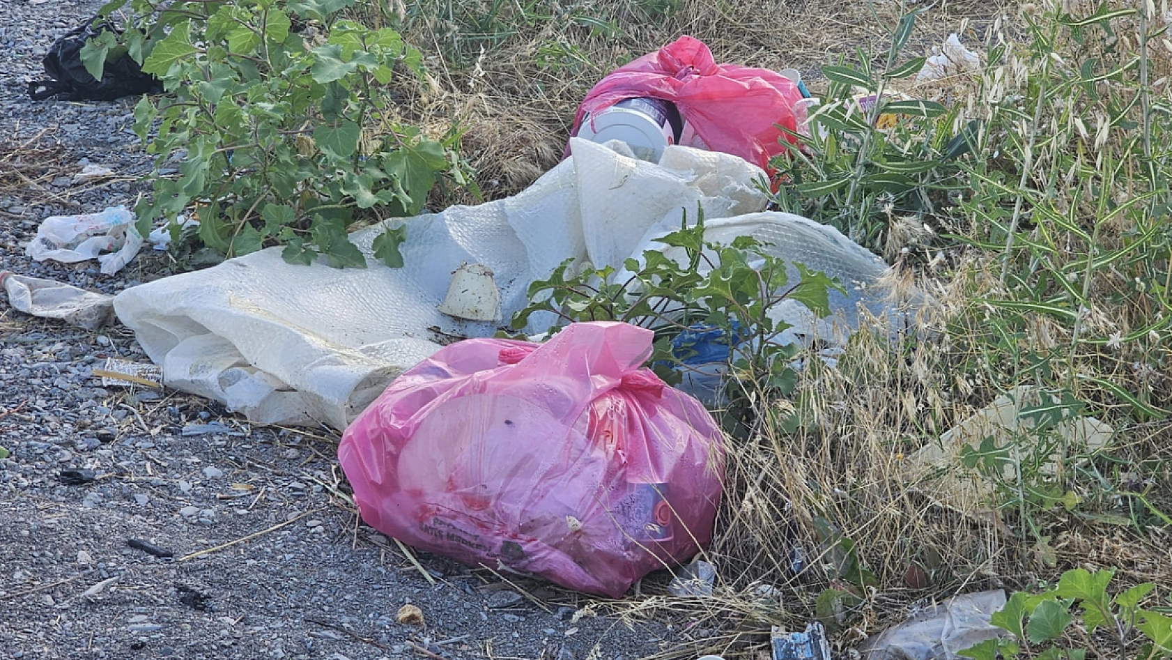 Hazar Gölü'nde çevre felaketi!