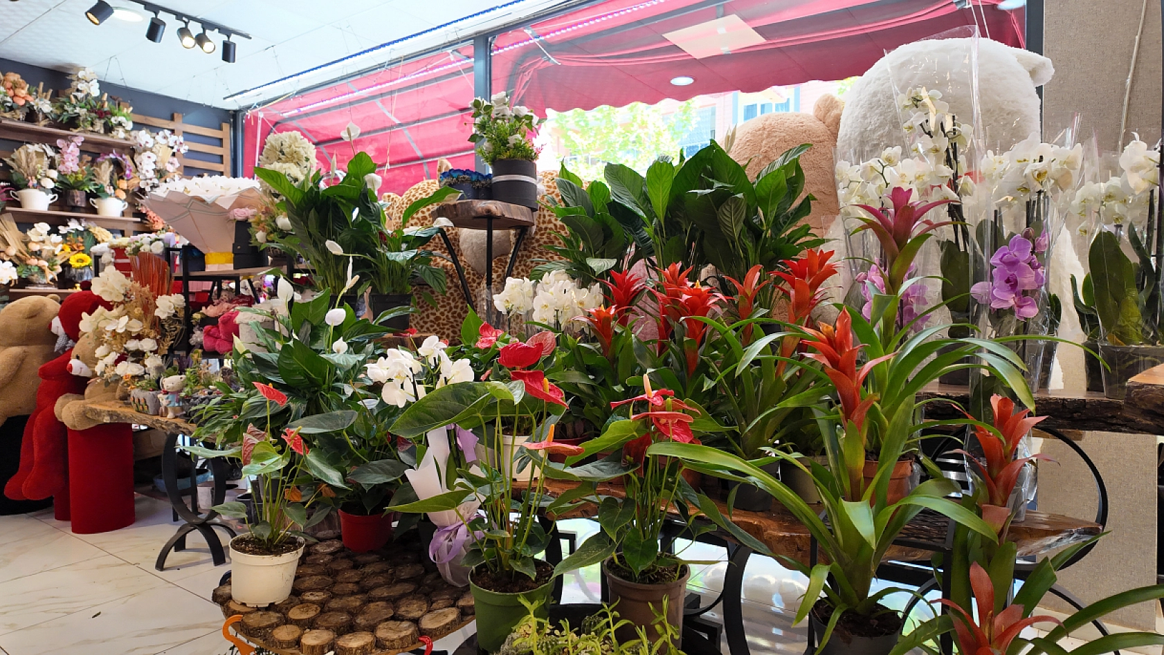 Elazığ'da düğün sezonu açıldı ama o sektörde beklenen hareketlilik yok