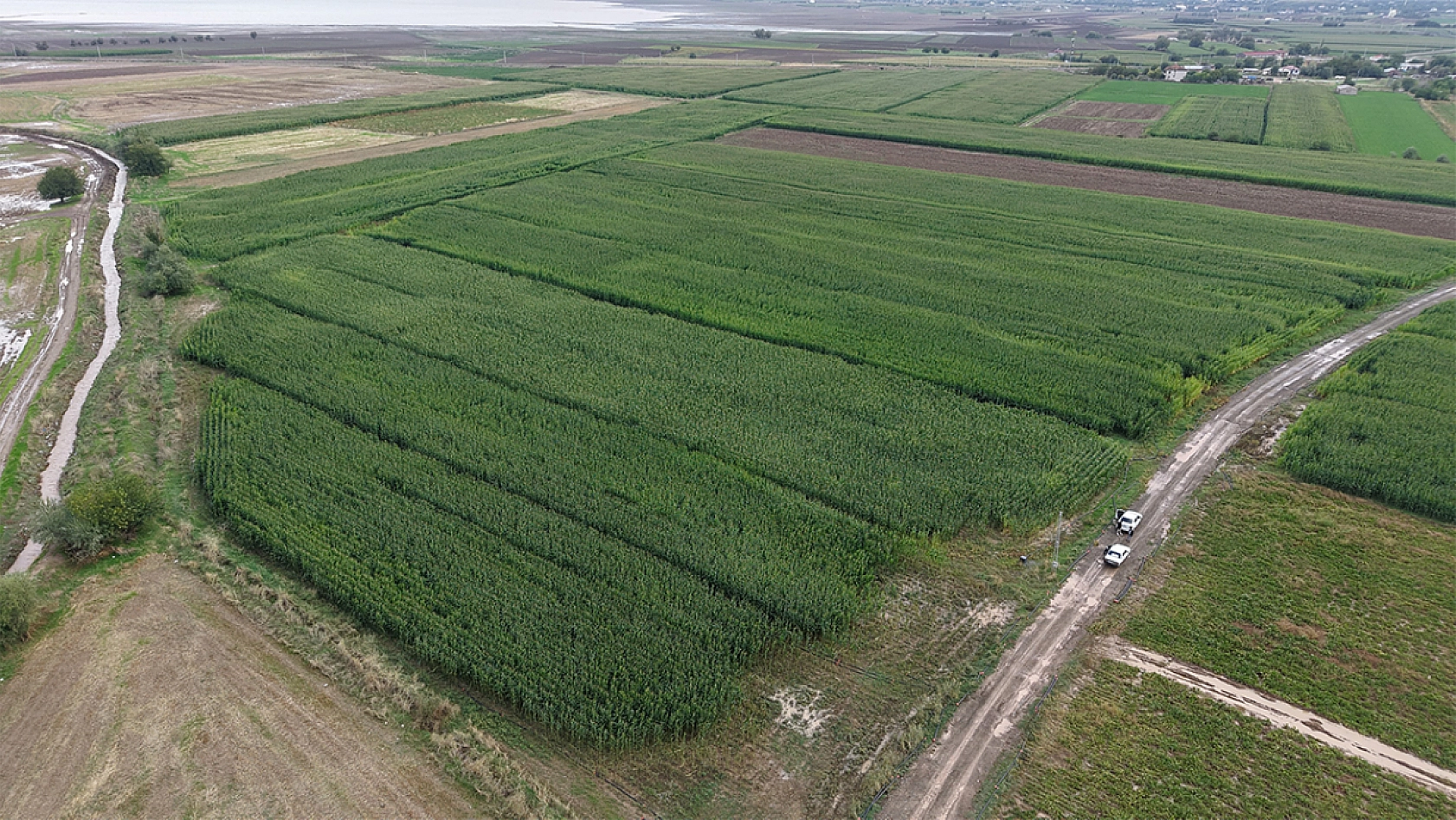 Elazığ'da sel suları 300 dönümlük emeği yuttu
