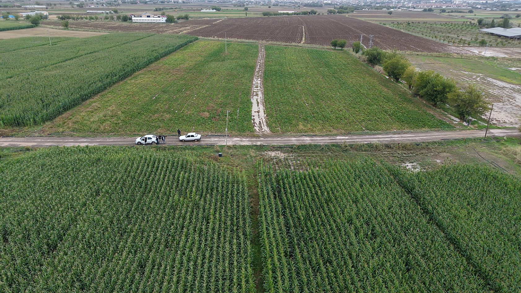 Elazığ'da sel suları 300 dönümlük emeği yuttu