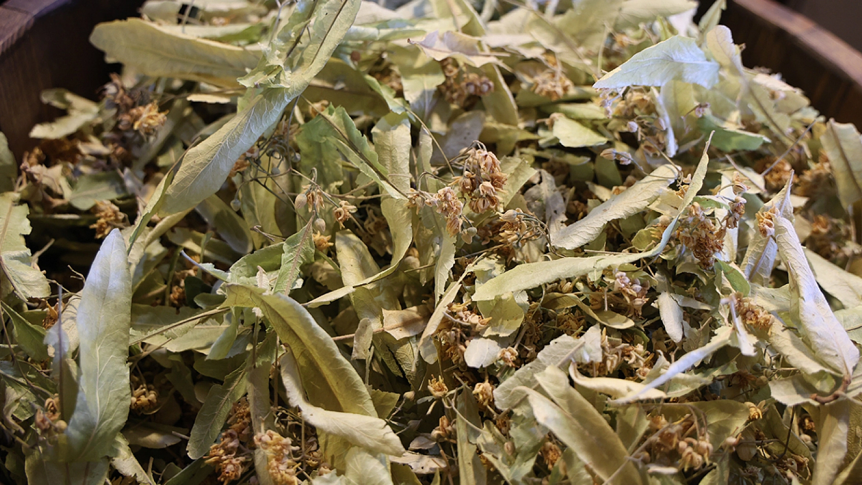 Elazığ'da havalar soğudu: Uğrak yer hiç değişmedi