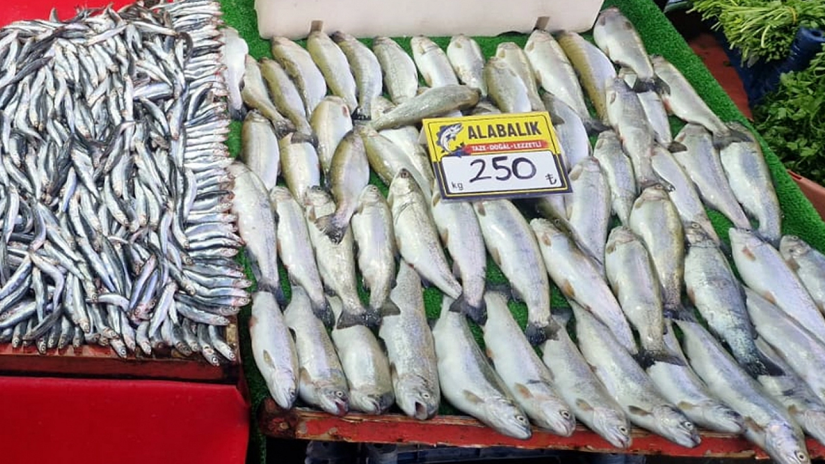 Elazığ'da tezgahlarda bolluk var