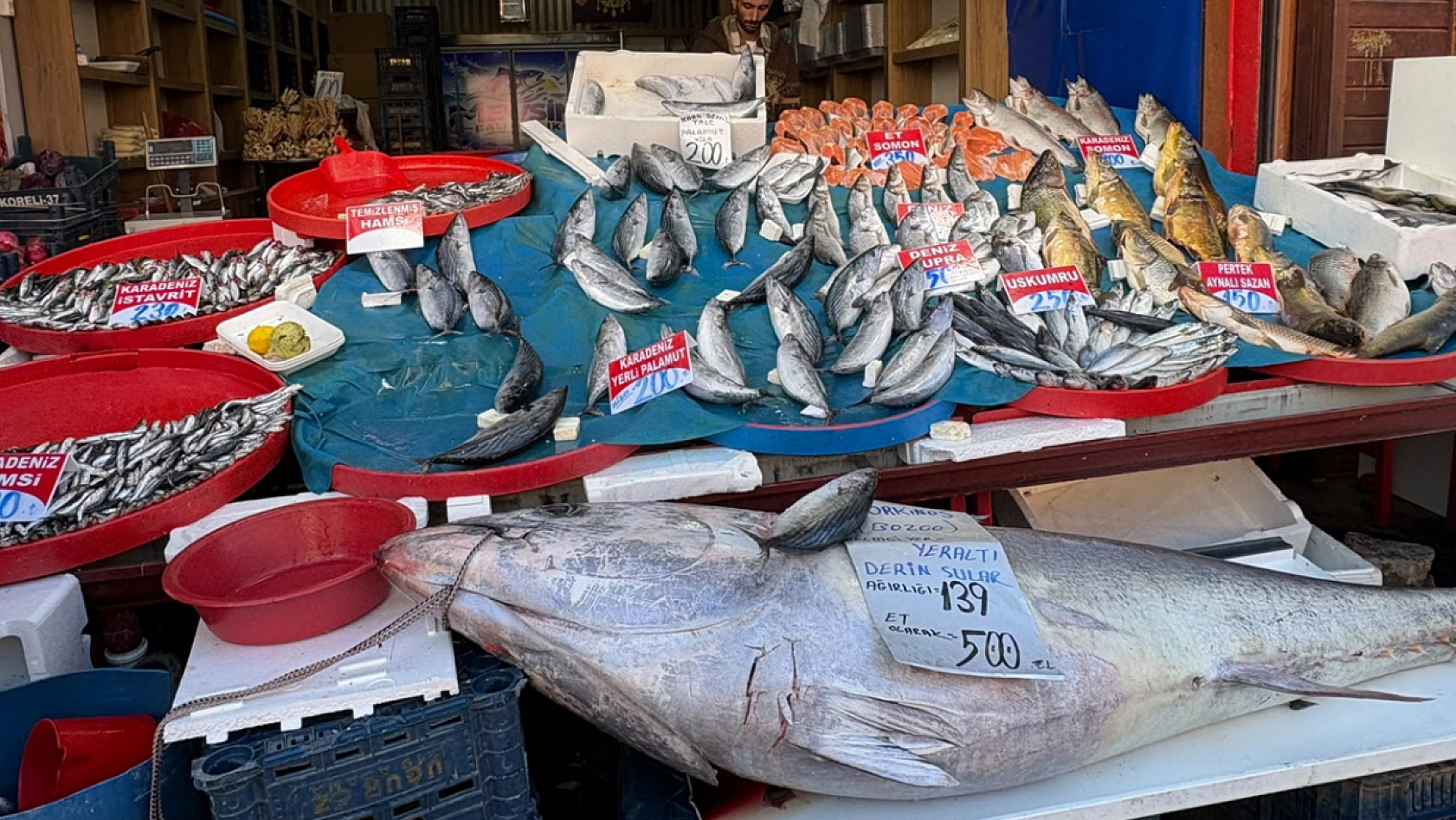 Elazığ'ın balık rekoru kırıldı