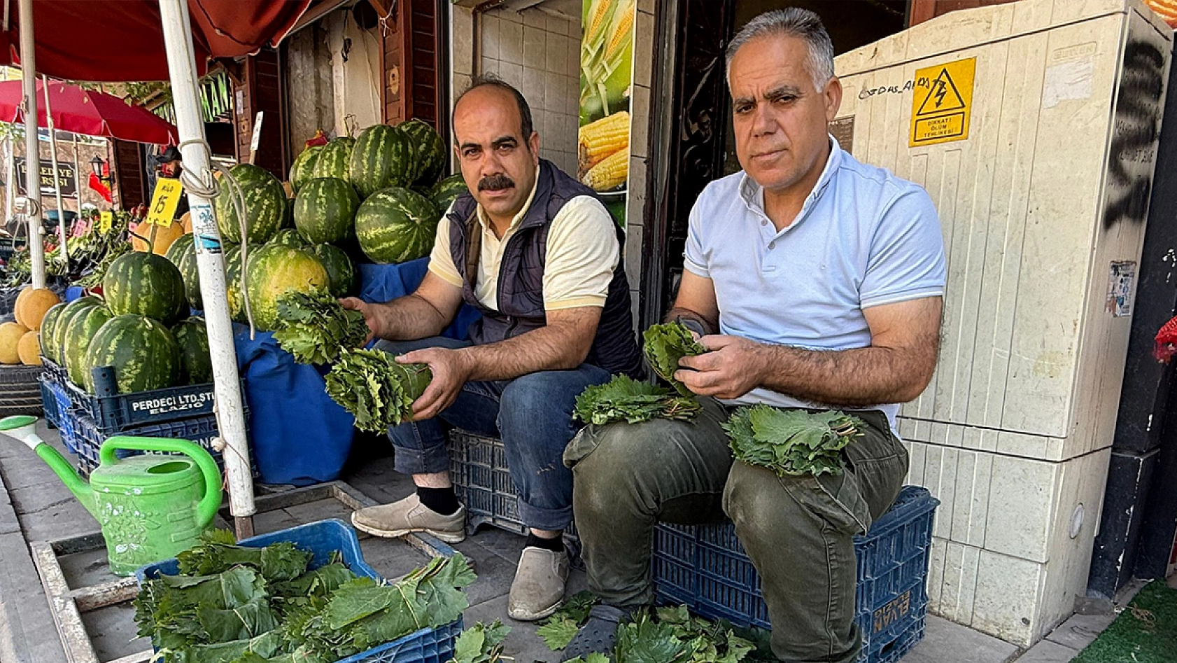 Elazığ'da tezgahlarda yerini aldı kilosu 150 liradan satılıyor