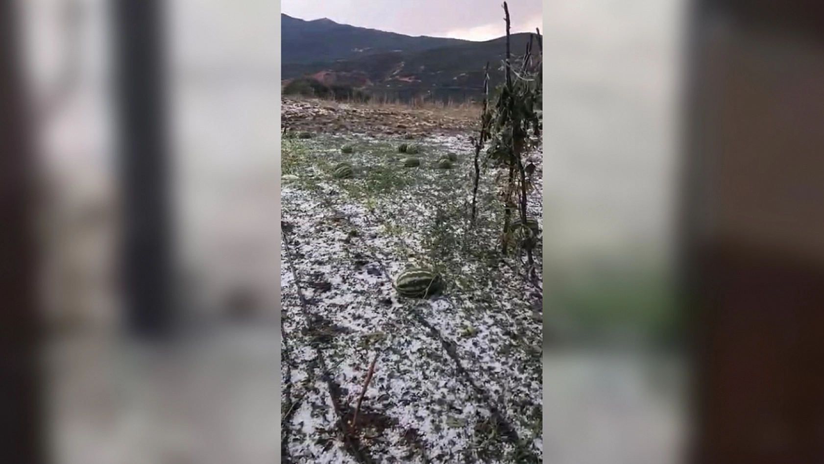 Karakoçan'da fırtına ve dolu hayatı olumsuz etkiledi
