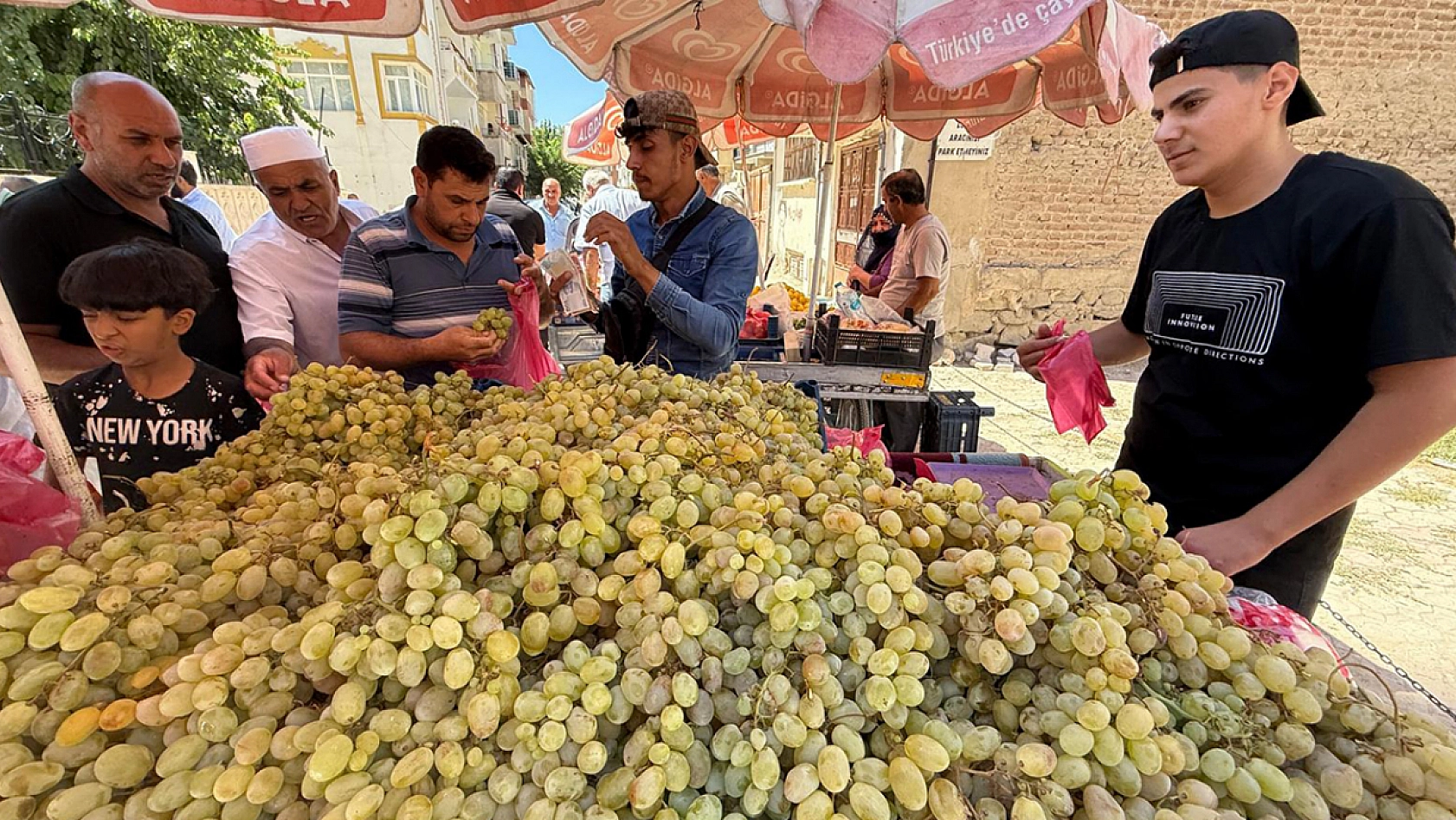 Elazığ'da kilosu 75 liradan satıldı poşet poşet alındı