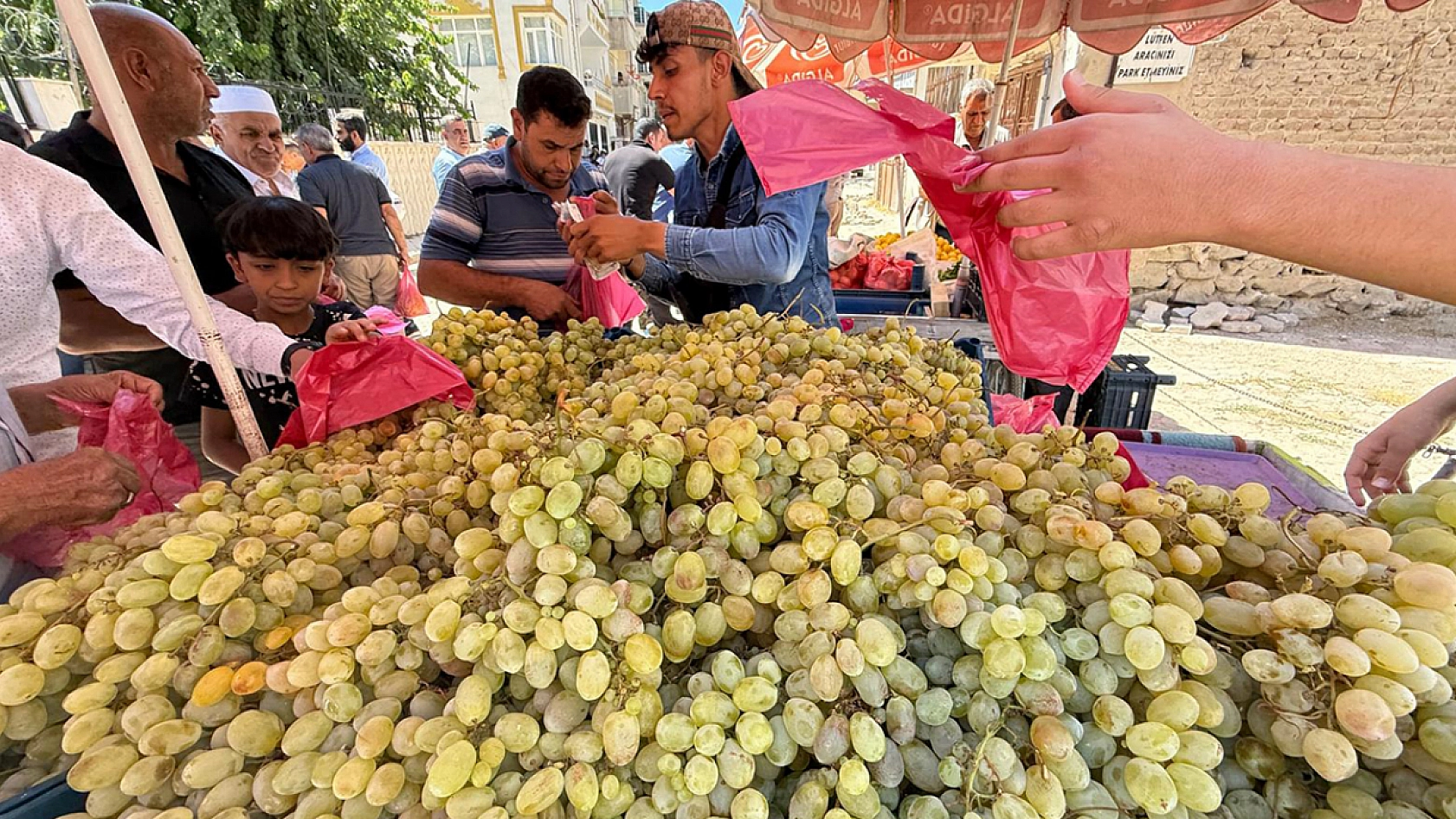 Elazığ'da kilosu 75 liradan satıldı poşet poşet alındı