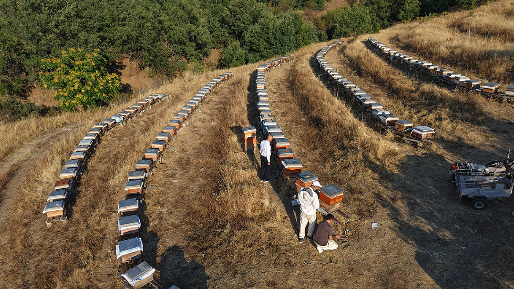Elazığ'da arıcıların yüzü güldü: Kovan başına 10 kilo bal bekleniyor