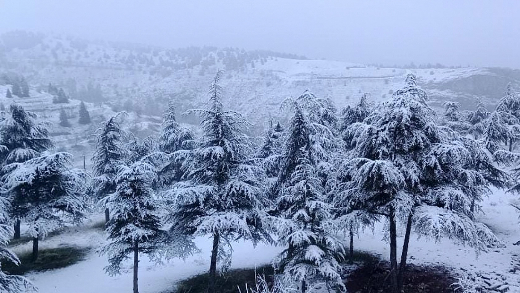 Tarihi Harput'ta kar, görsel şölen yarattı
