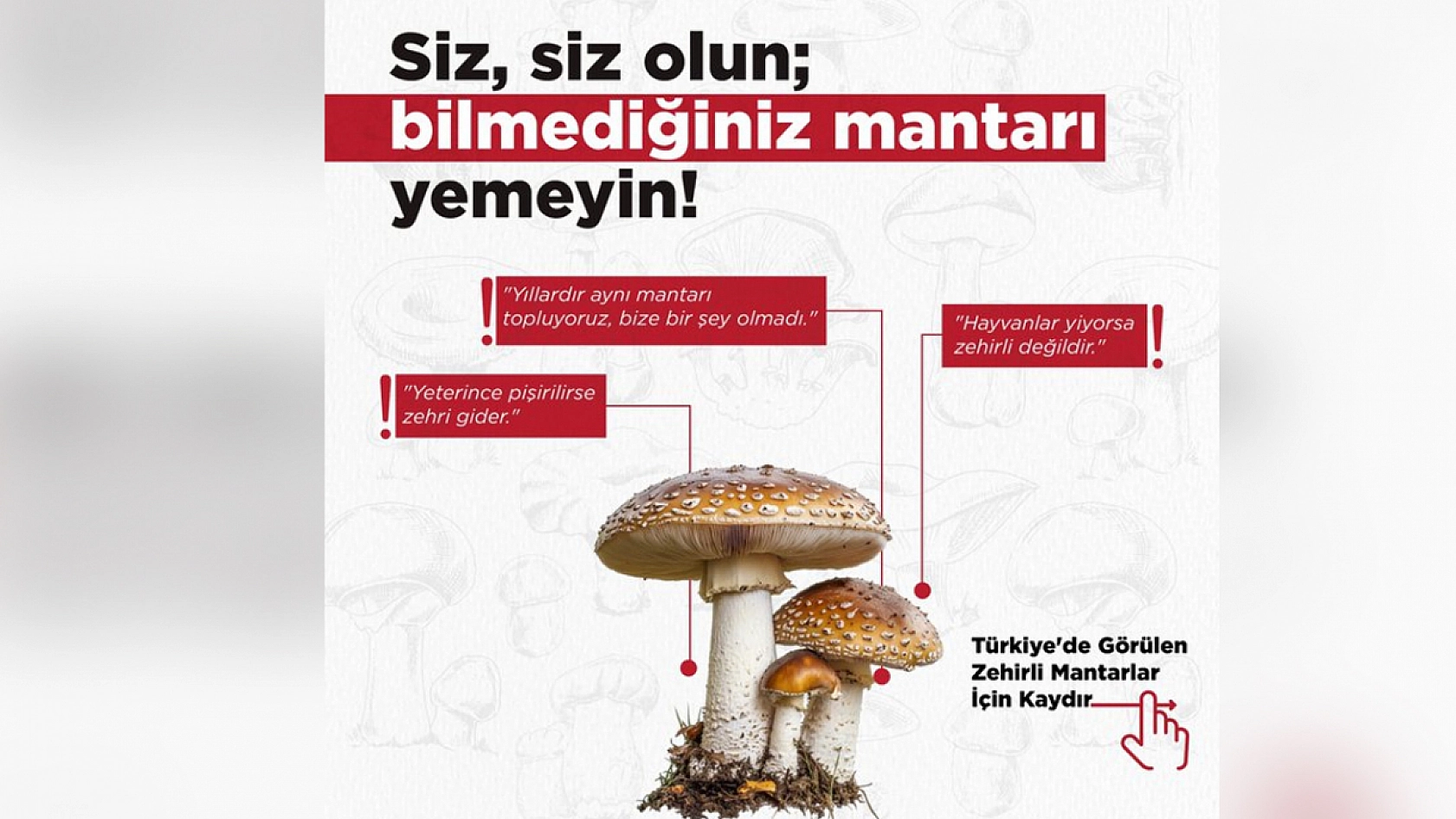 Mantar severler dikkat! Bu haberi okumadan tüketmeyin