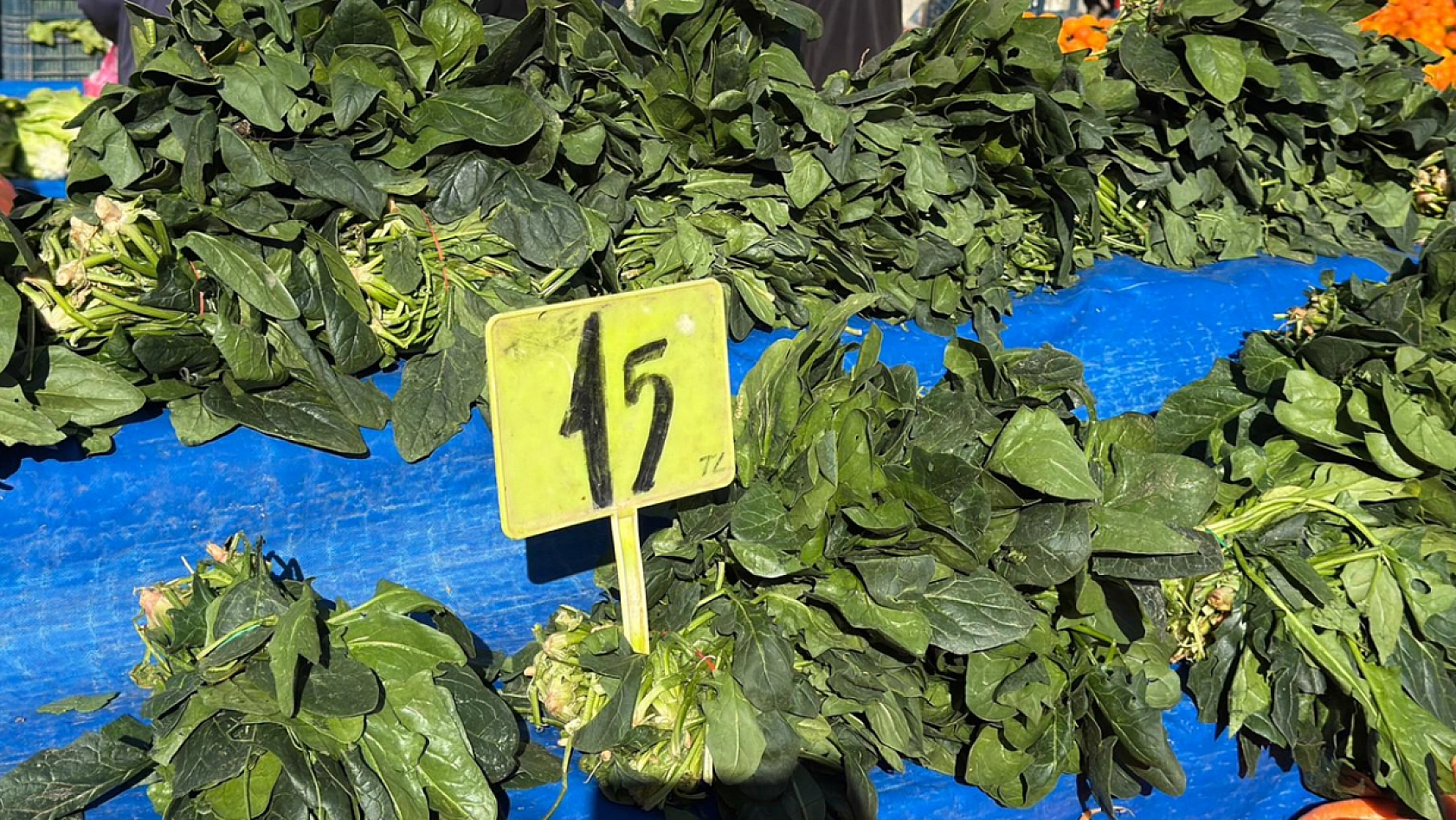 Elazığ halk pazarına yeşillikler renk kattı