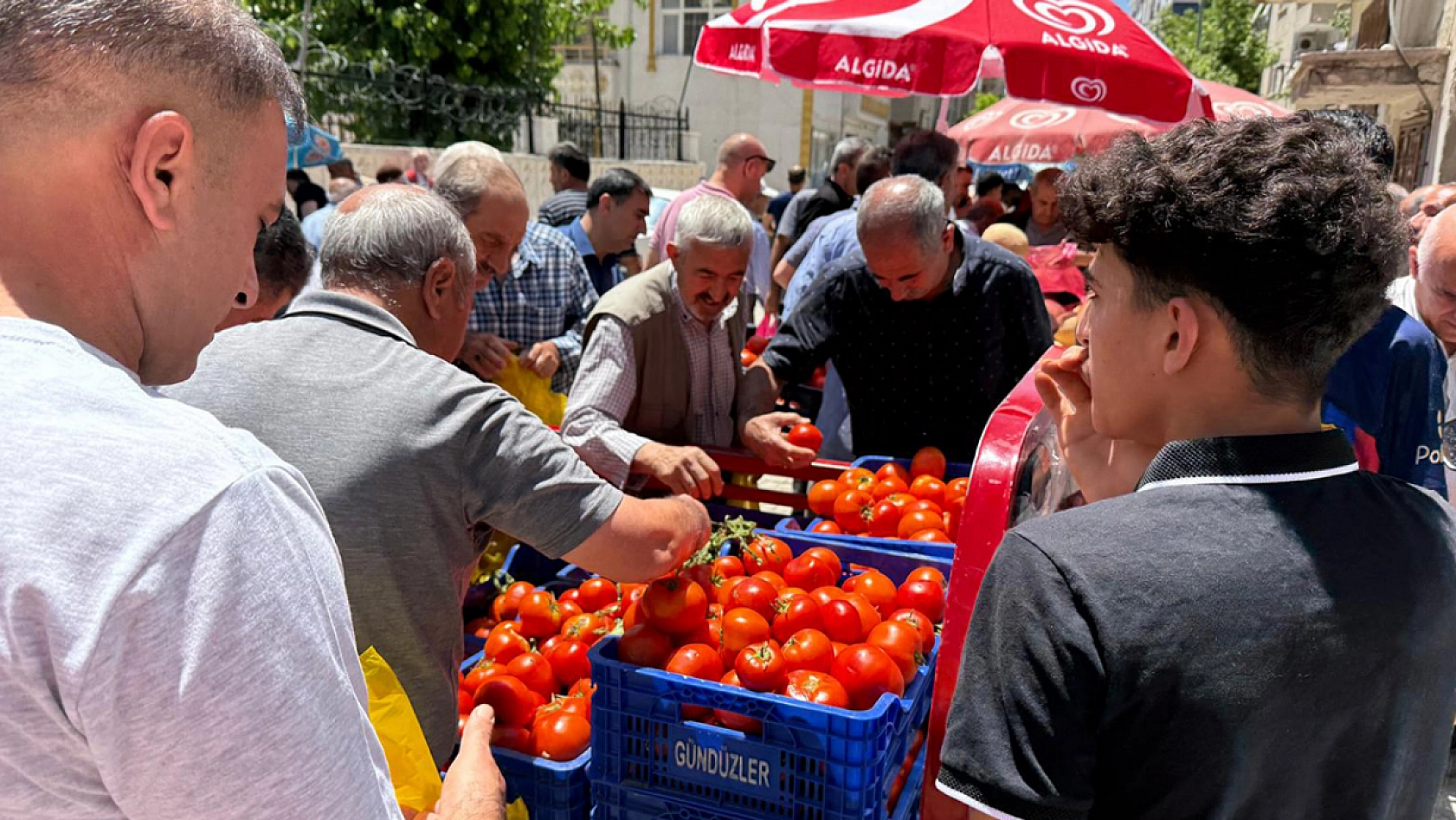 Elazığ'da kilosu 20 liradan satıldı yetişen aldı