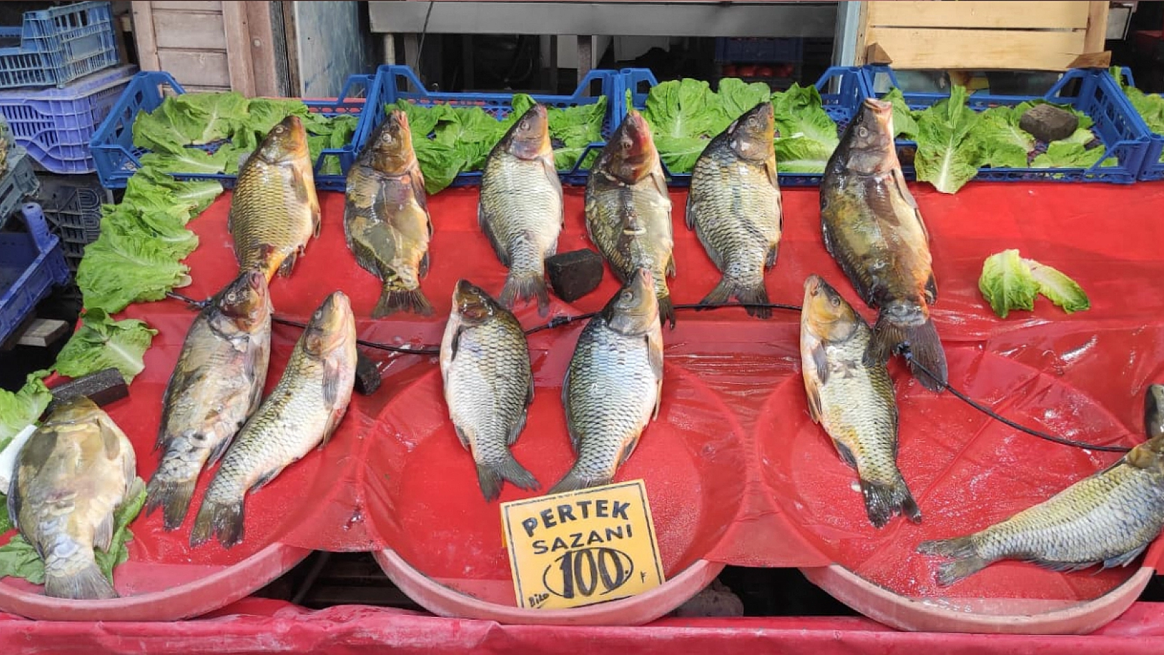 Elazığ'daki balık fiyatları
