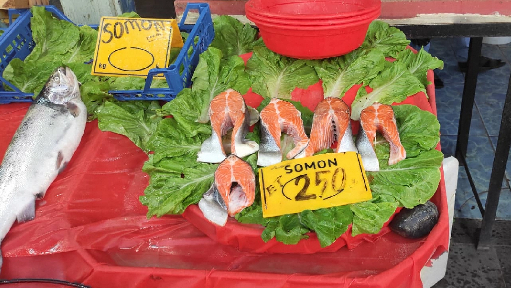 Elazığ'daki balık fiyatları