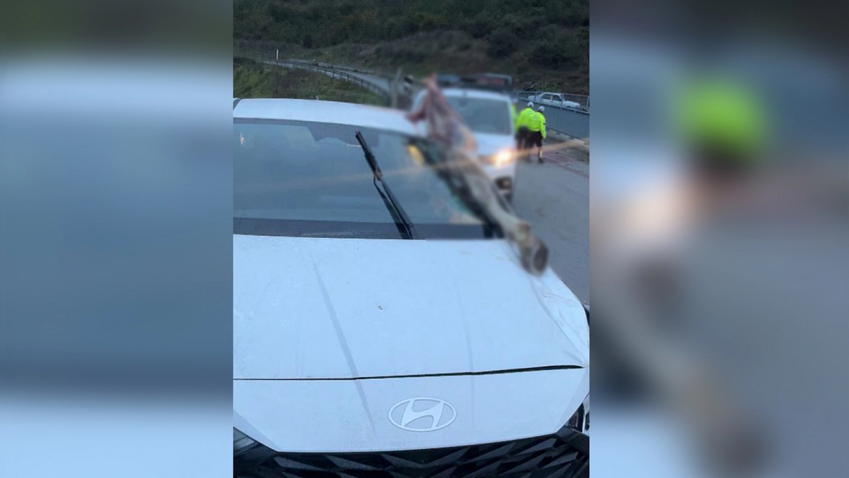 Feci kazada dehşete düşüren görüntü! Atın kopan bacağı otomobile saplandı