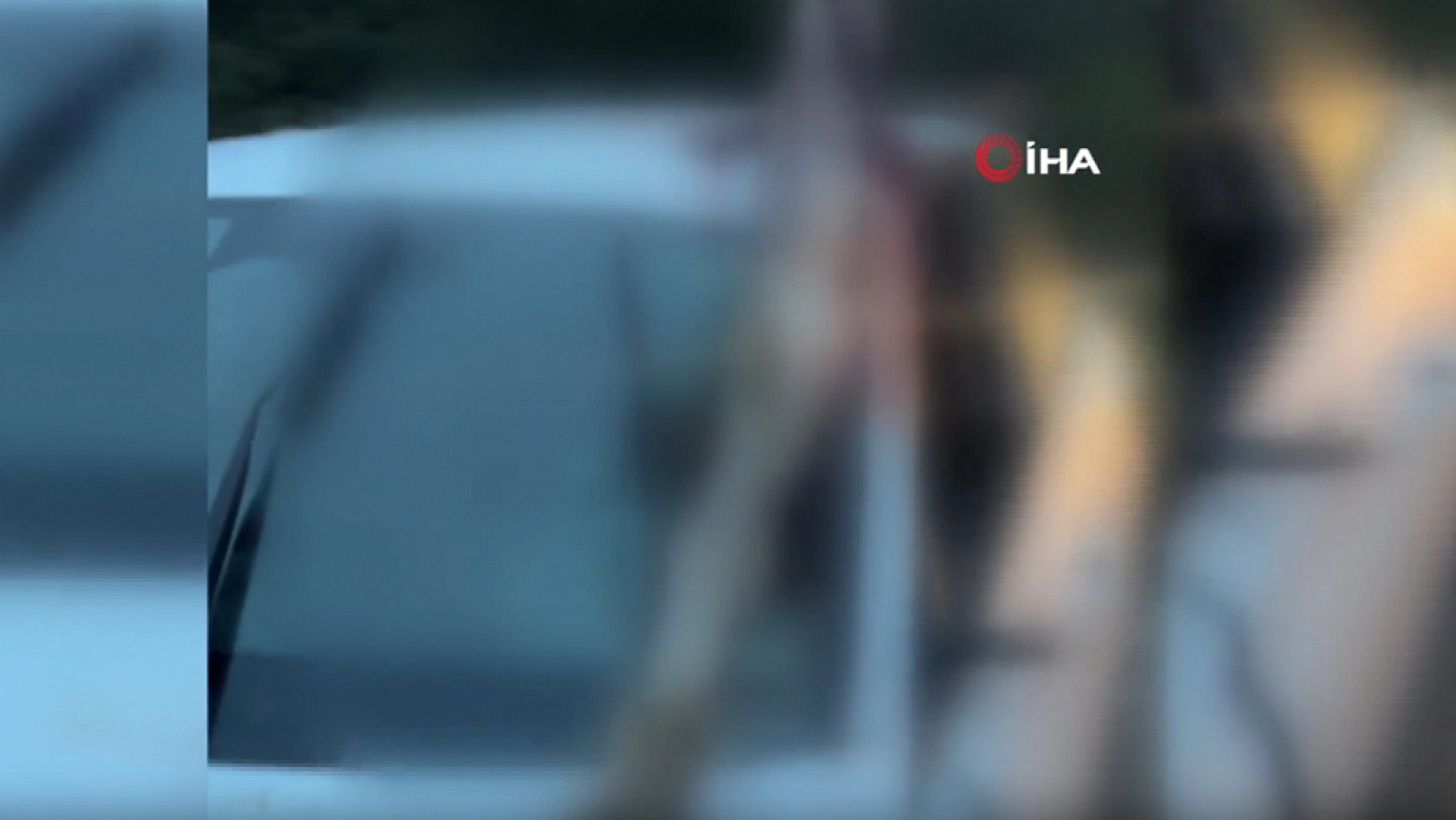 Feci kazada dehşete düşüren görüntü! Atın kopan bacağı otomobile saplandı