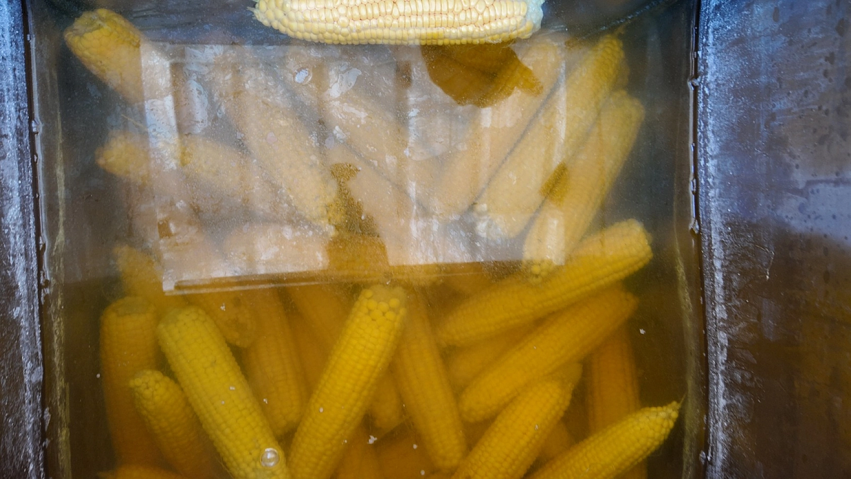 Elazığ'da sezon açıldı ama yoğunluk yok