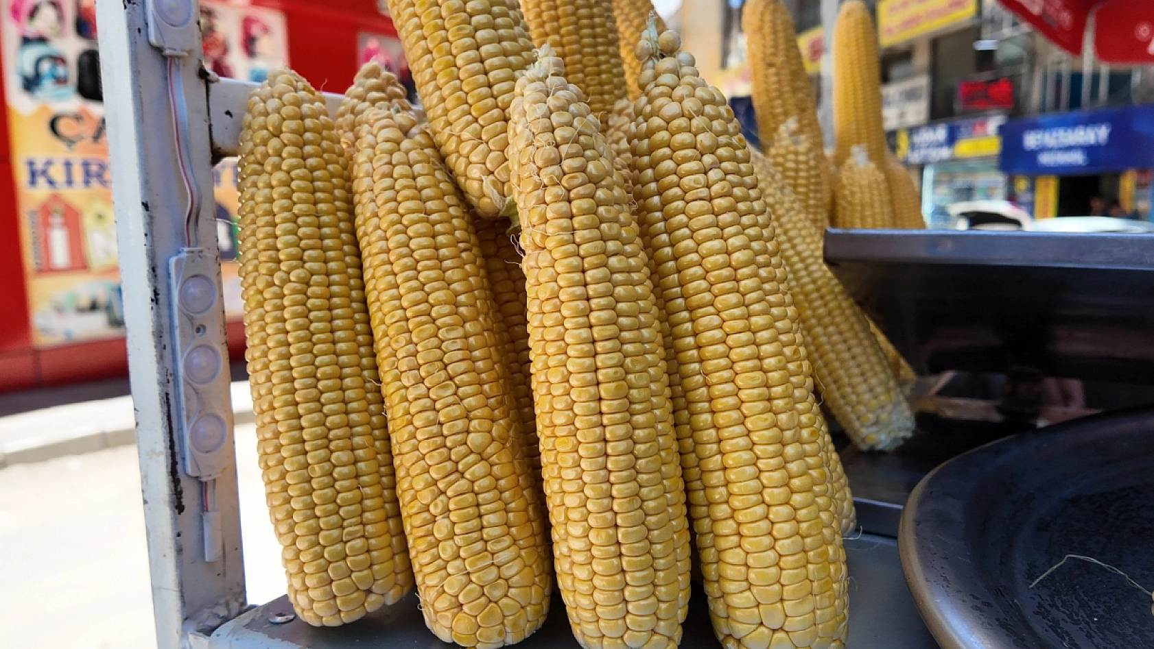 Elazığ'da sezon açıldı ama yoğunluk yok