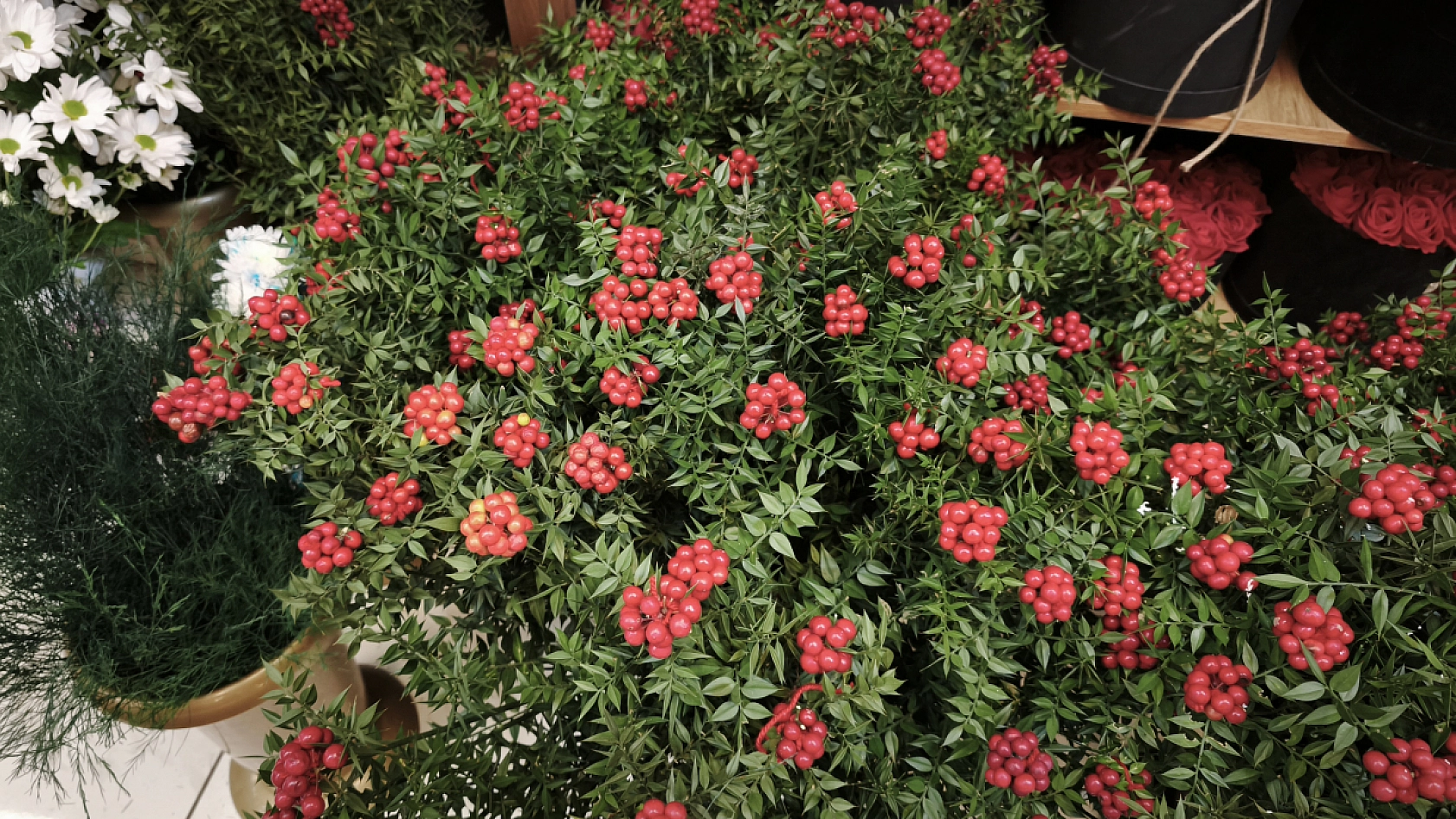 Elazığ'da o sektör 2025 yılından umduğunu buldu