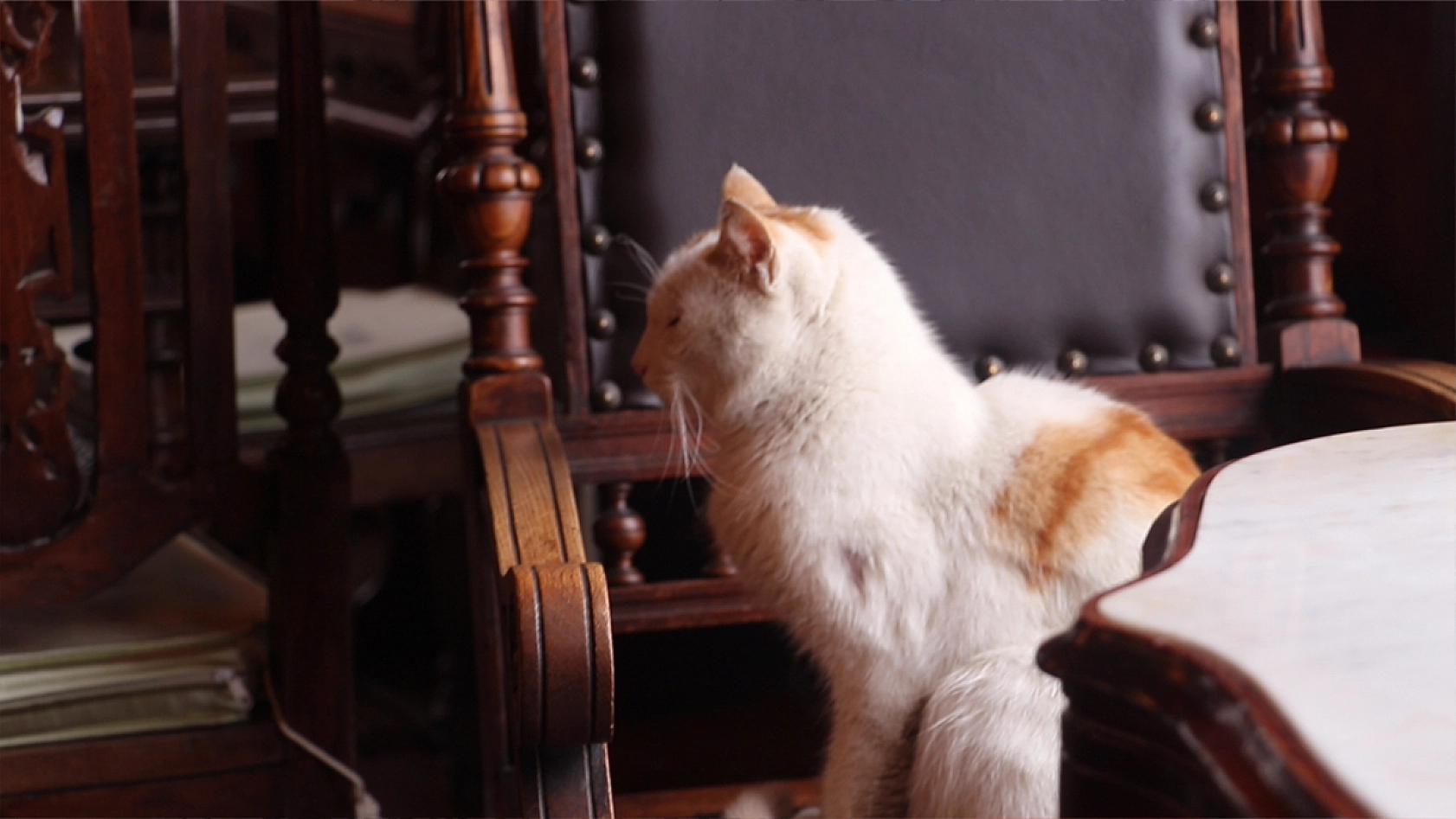 Elazığ'da nostalji rüzgarı: Sizi 200 yıl geriye götürüyor